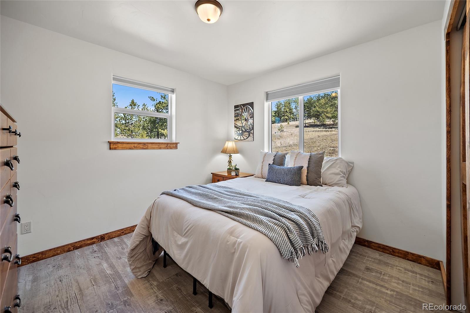 MLS Image #19 for 186  empire road,florissant, Colorado
