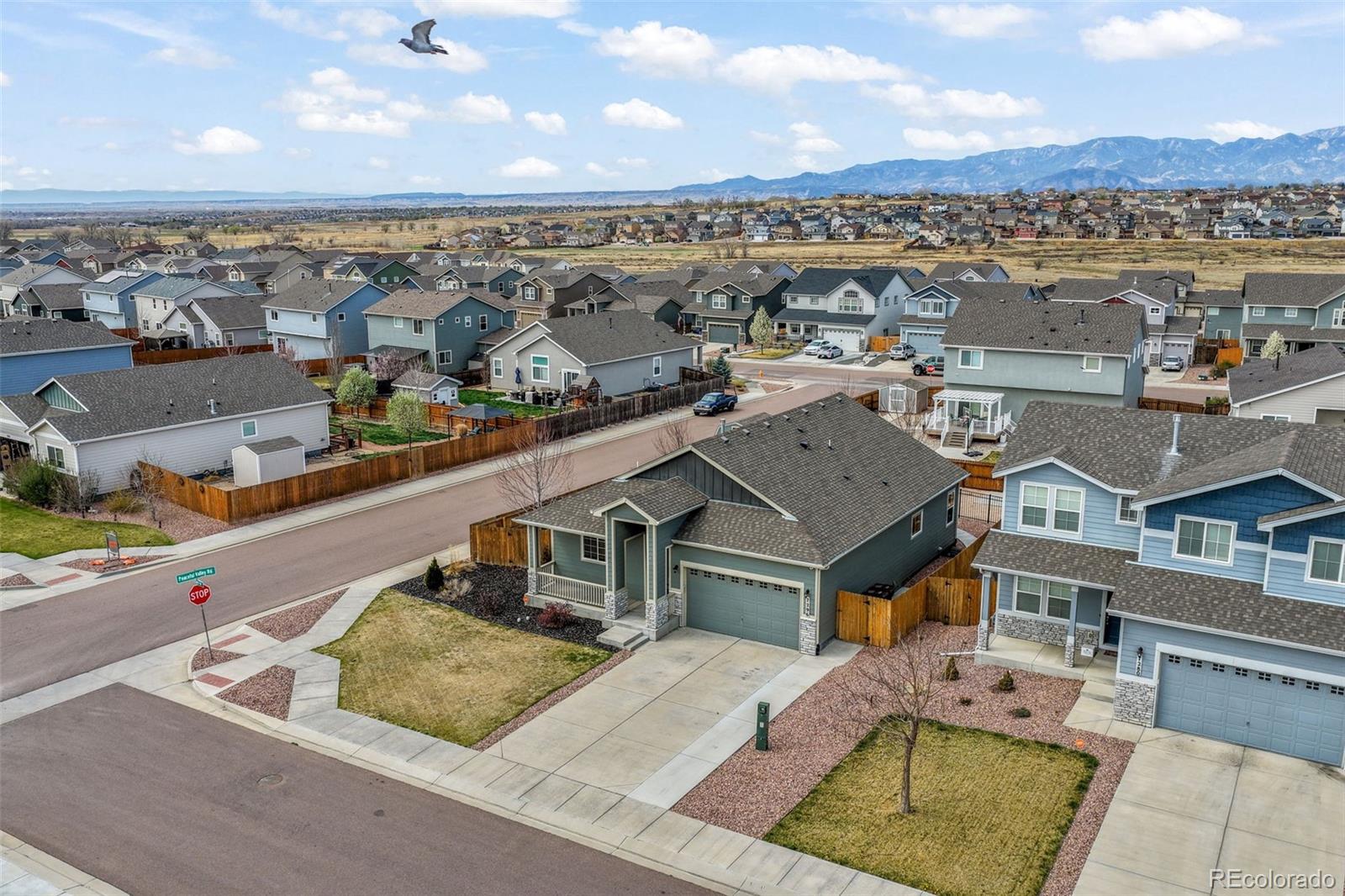 MLS Image #2 for 7296  alpine daisy drive,colorado springs, Colorado