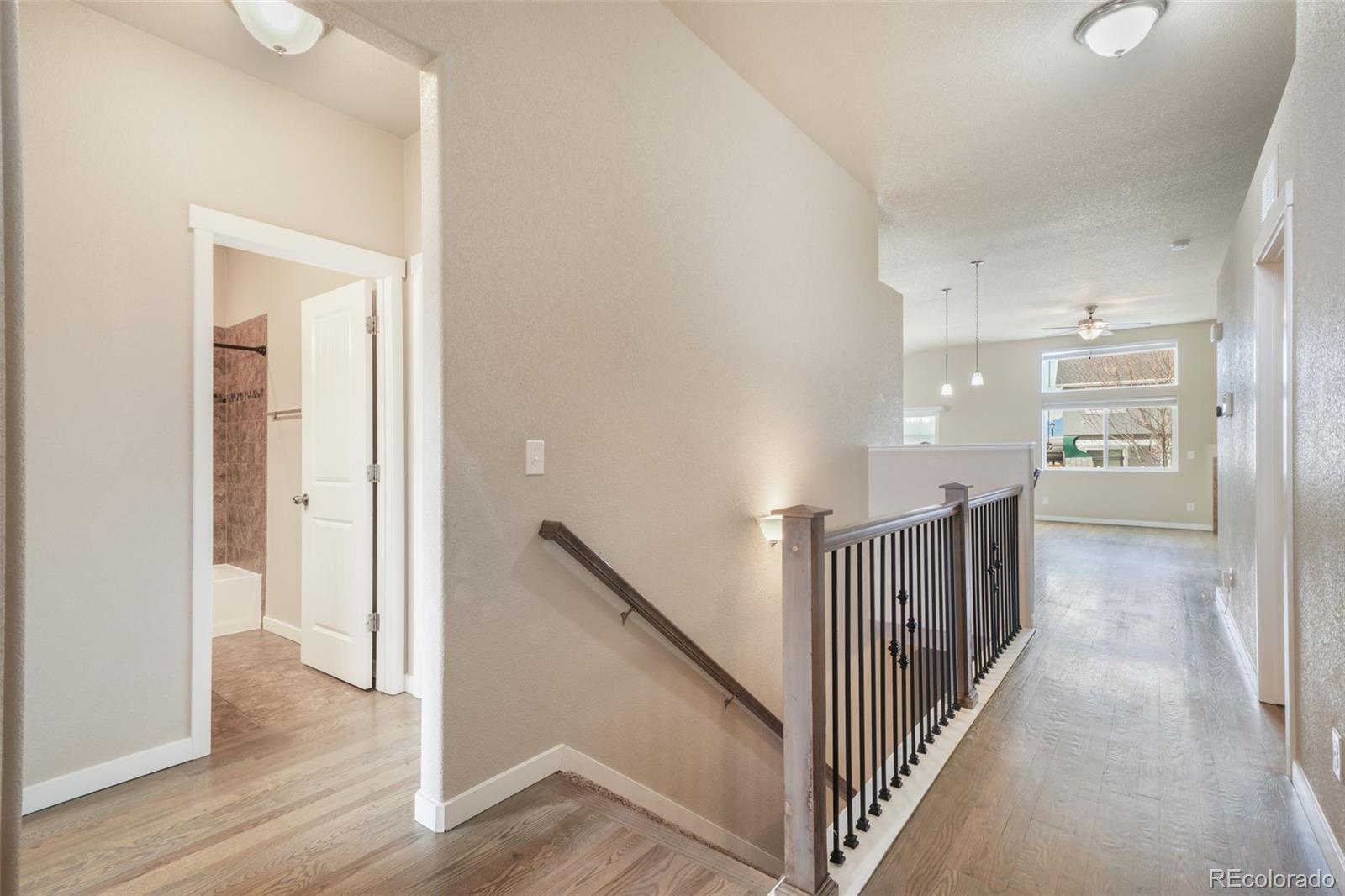 MLS Image #4 for 7296  alpine daisy drive,colorado springs, Colorado