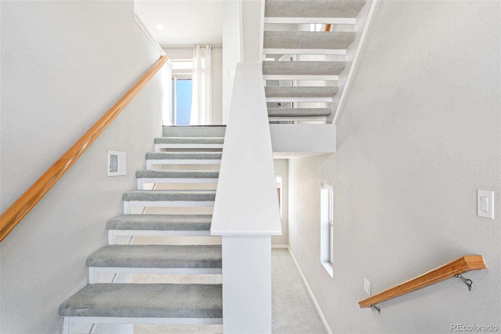 MLS Image #12 for 2788  low meadow boulevard,castle rock, Colorado