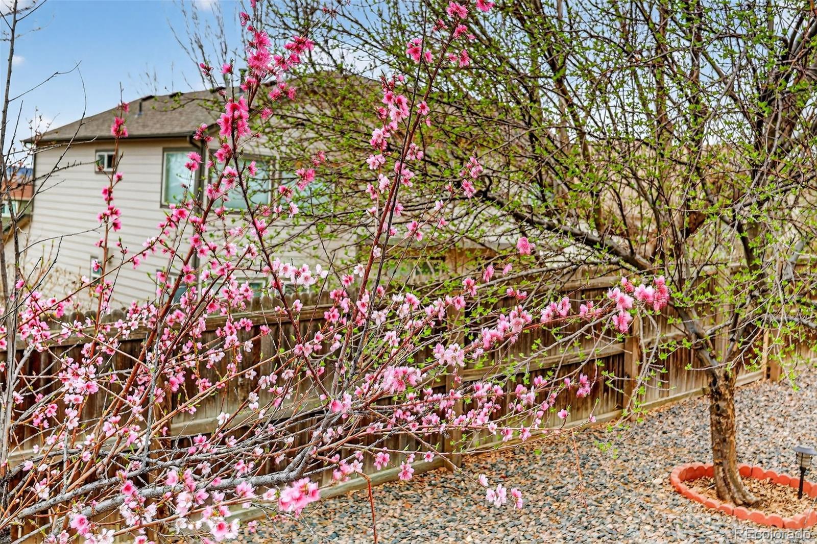 MLS Image #48 for 16049  brooklime court,parker, Colorado