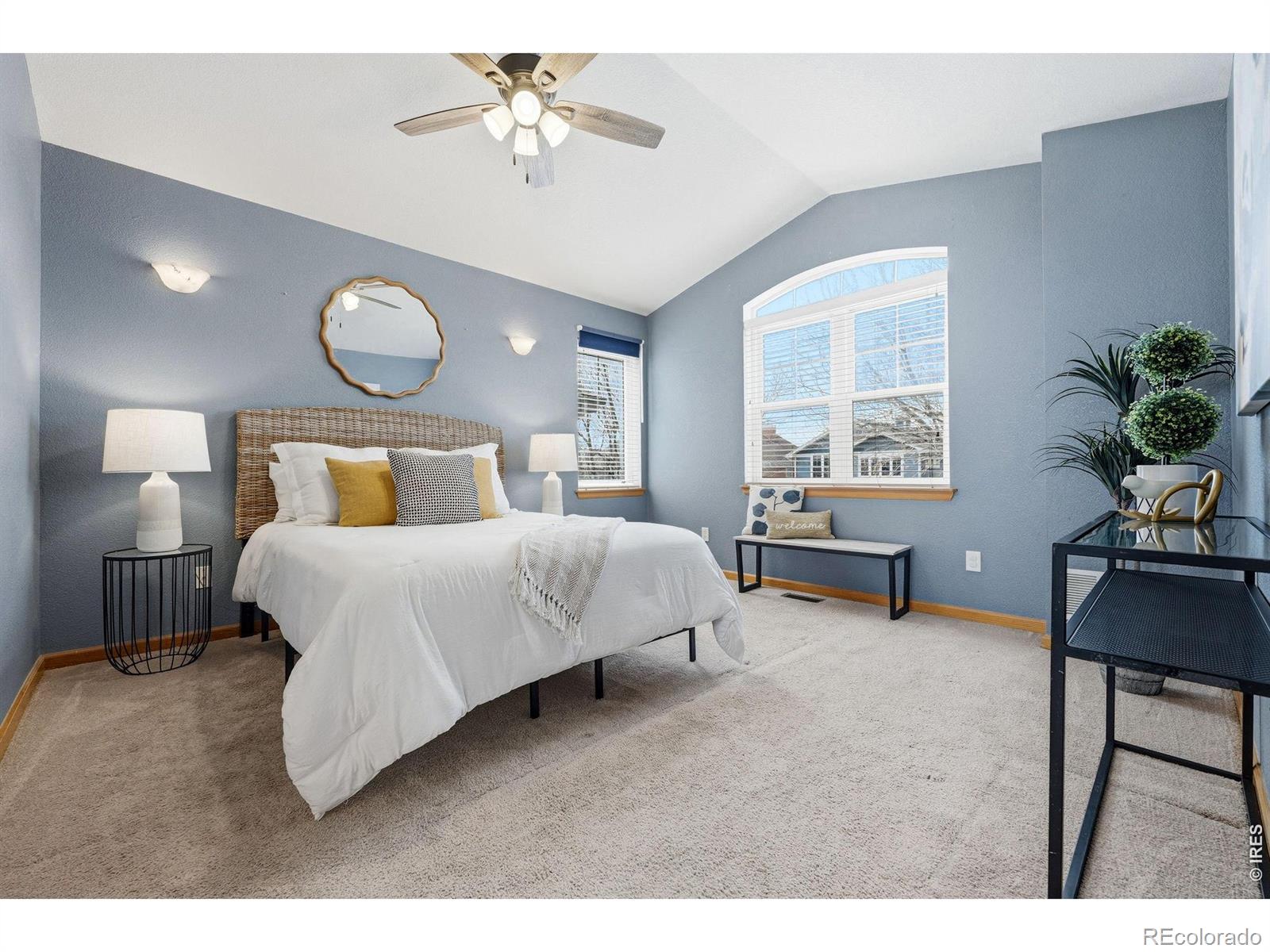 MLS Image #3 for 232  river view court,longmont, Colorado