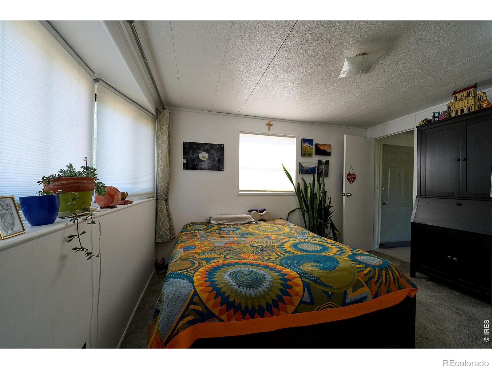 MLS Image #13 for 2828  mango place,loveland, Colorado