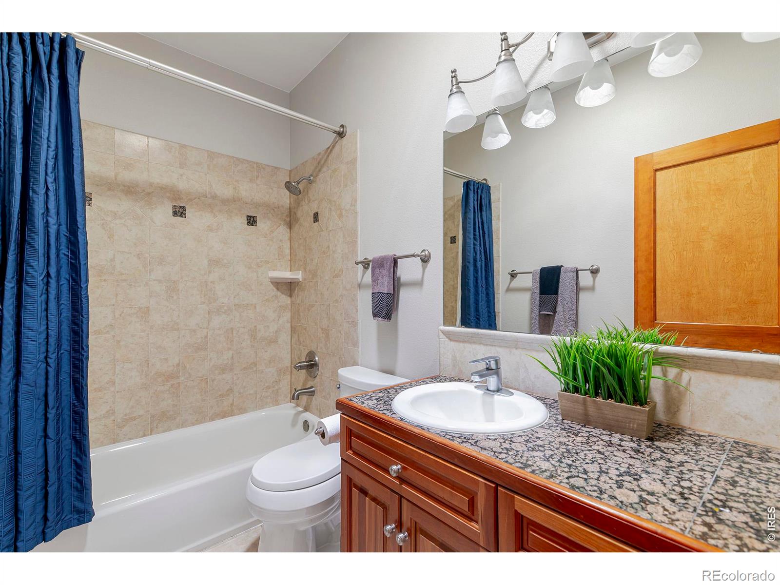 MLS Image #21 for 5612 n 115th street,longmont, Colorado