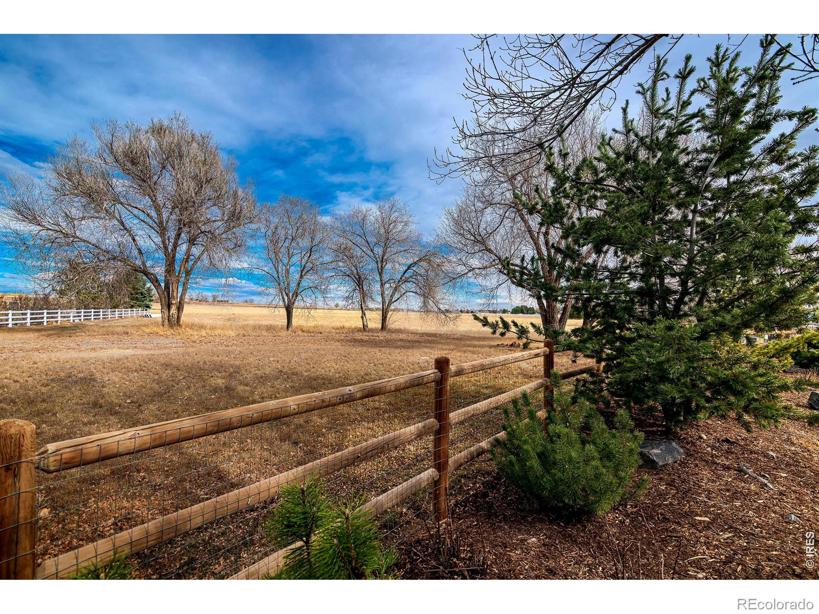 MLS Image #39 for 5612 n 115th street,longmont, Colorado