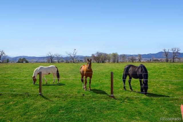MLS Image #34 for 560  talons reach run,berthoud, Colorado