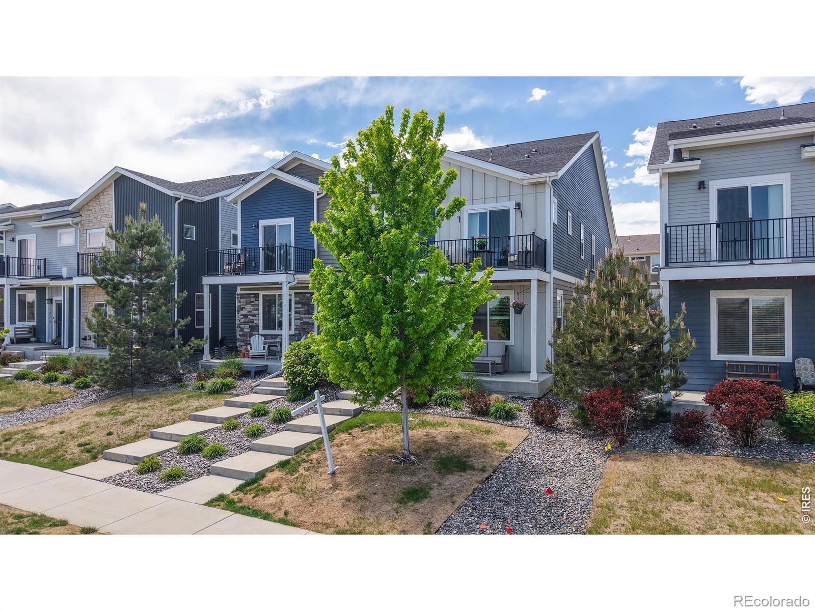 MLS Image #4 for 1083  mountain drive,longmont, Colorado