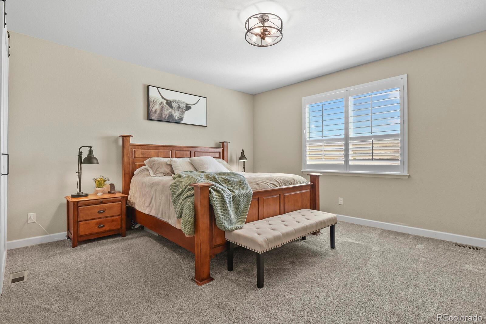 MLS Image #17 for 6180  leilani drive,castle rock, Colorado