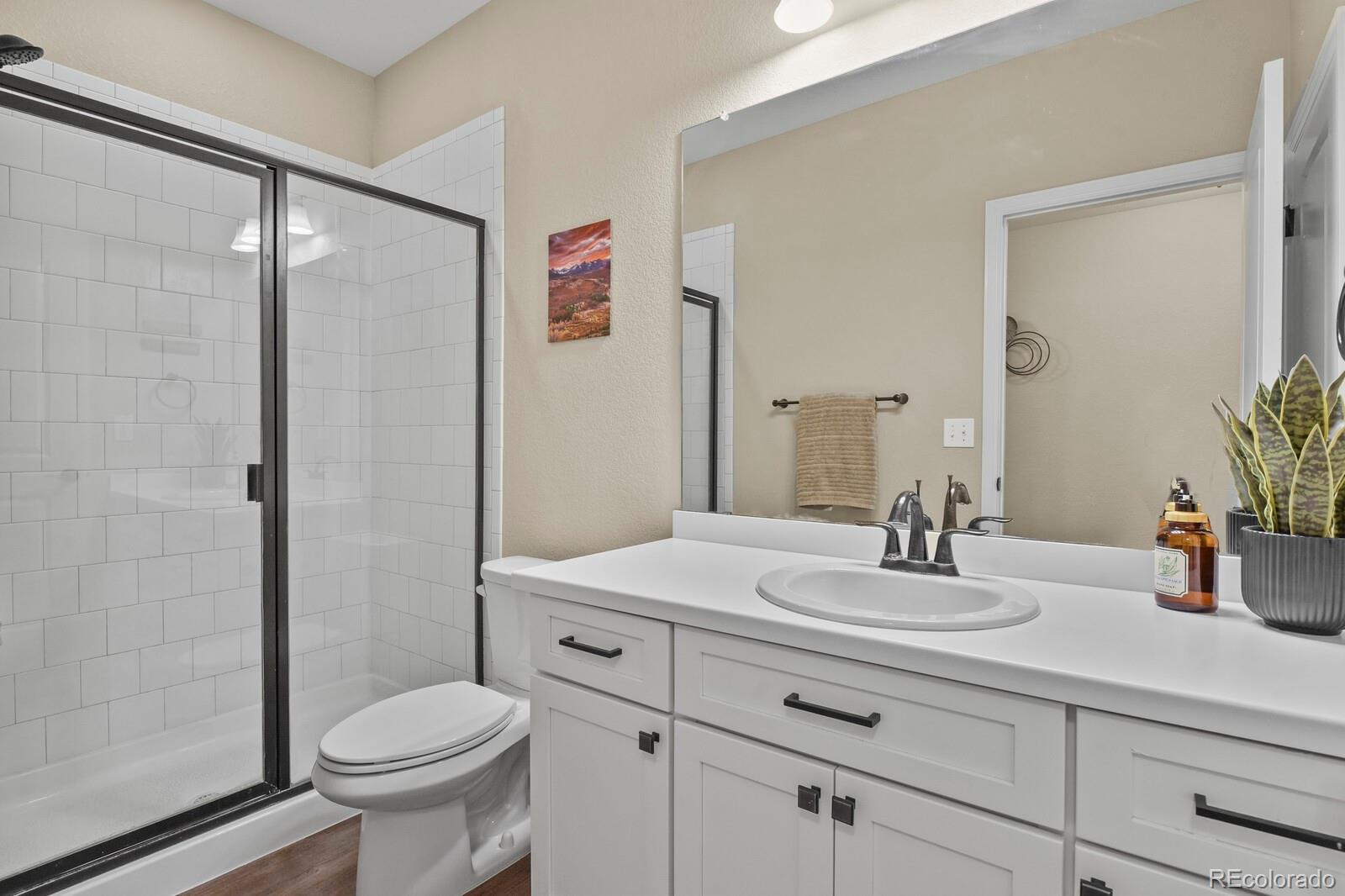 MLS Image #29 for 6180  leilani drive,castle rock, Colorado