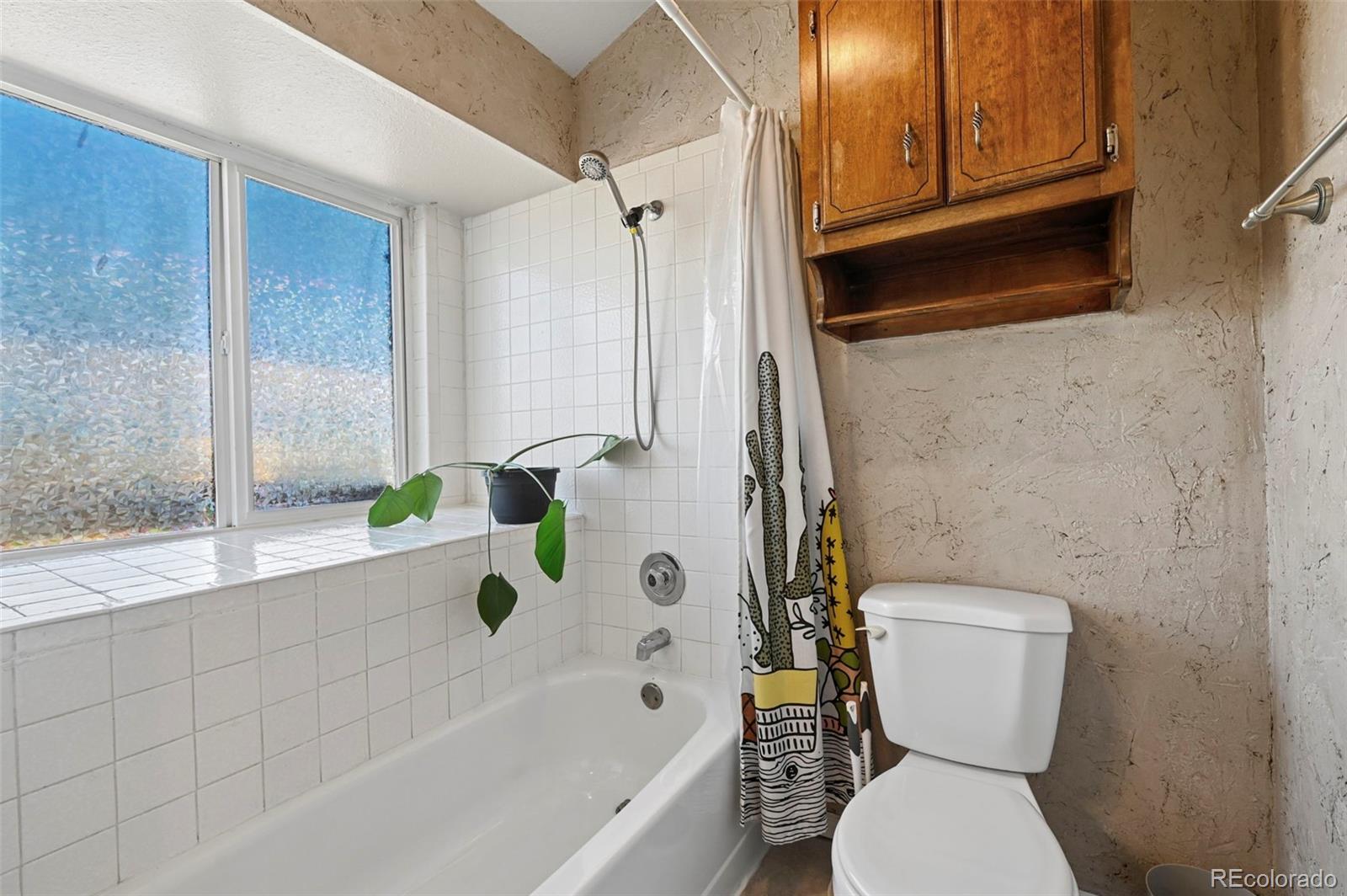 MLS Image #16 for 5568  dunbar court,colorado springs, Colorado