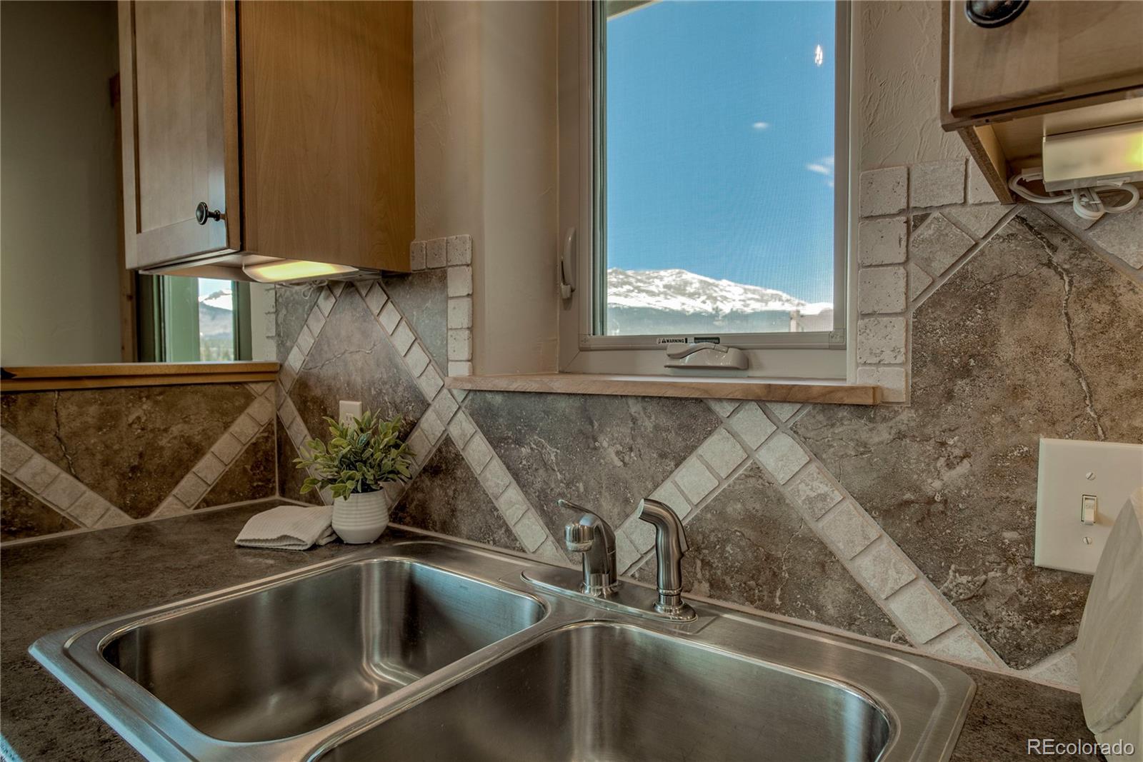 MLS Image #12 for 216  glacier ridge road,alma, Colorado
