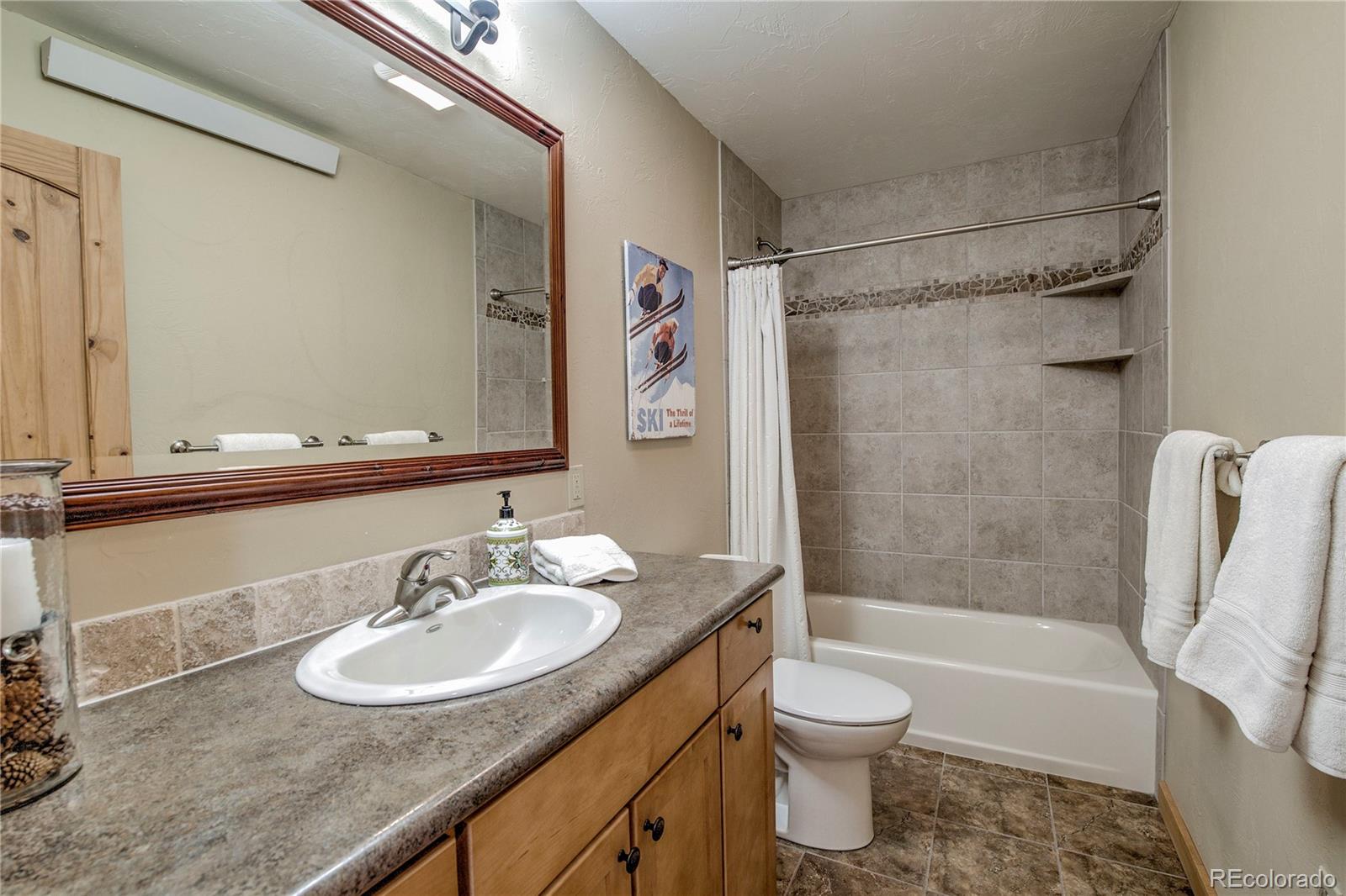 MLS Image #16 for 216  glacier ridge road,alma, Colorado