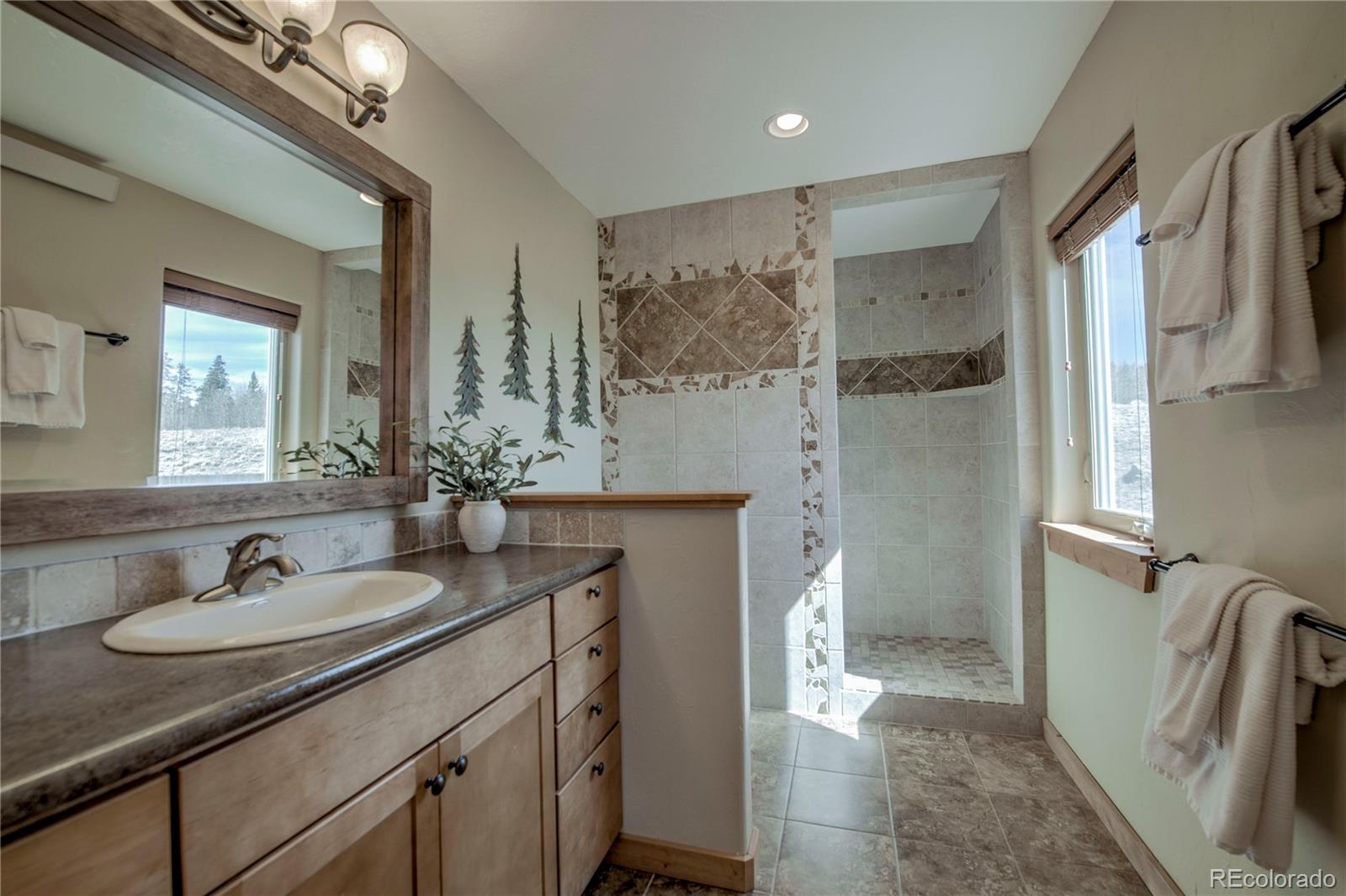 MLS Image #20 for 216  glacier ridge road,alma, Colorado