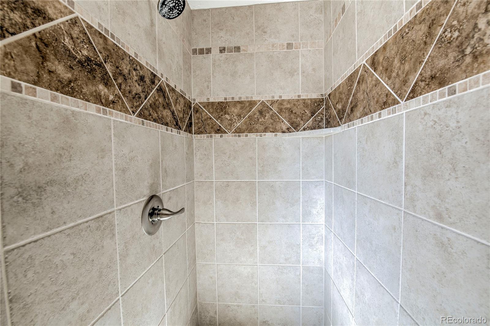 MLS Image #21 for 216  glacier ridge road,alma, Colorado