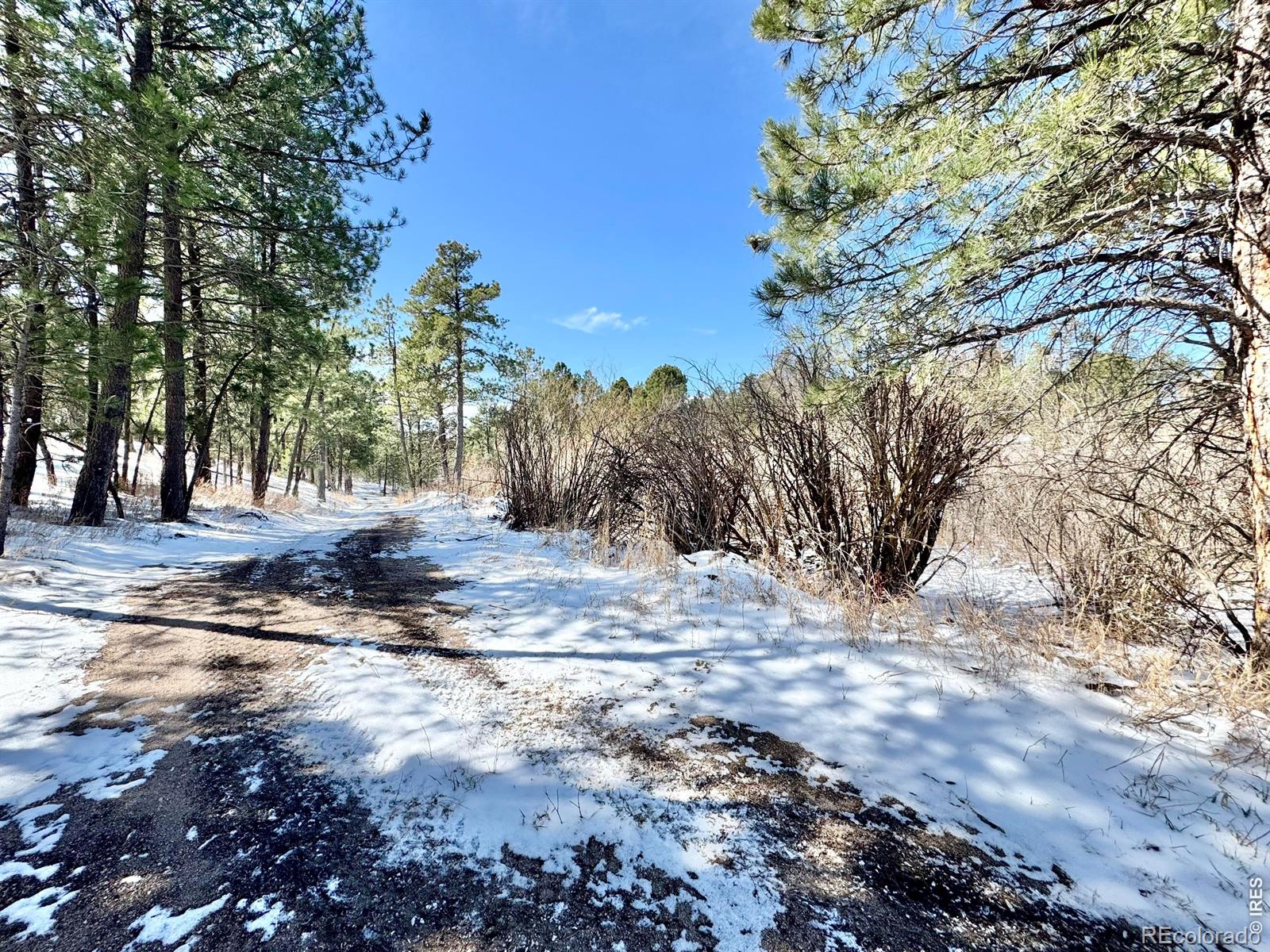 MLS Image #23 for 4395  leprechaun lane,colorado springs, Colorado