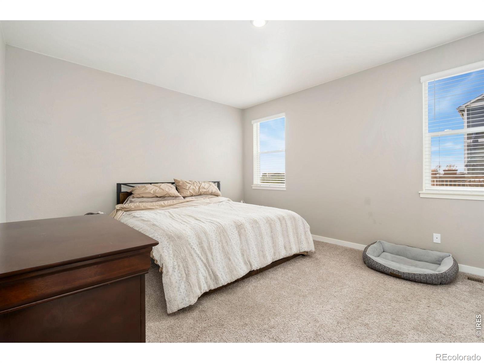 MLS Image #15 for 1331  copeland falls road,severance, Colorado