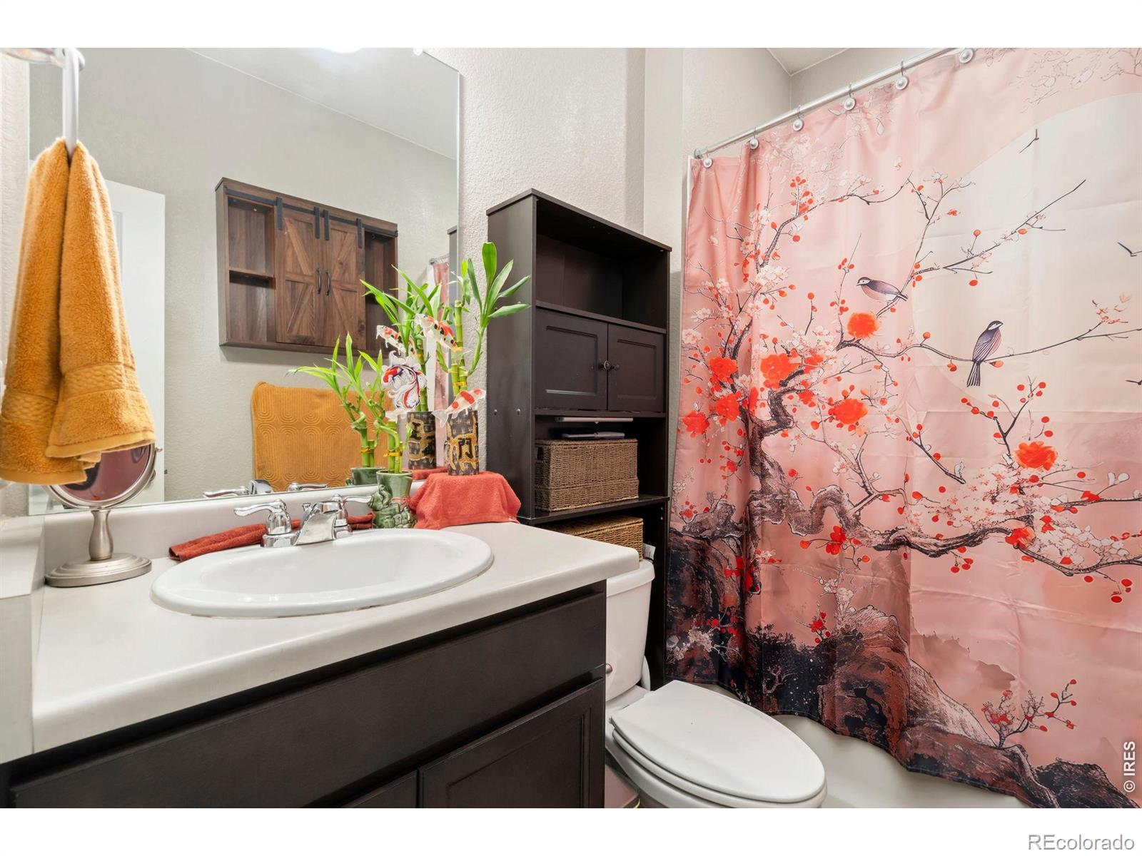 MLS Image #4 for 1331  copeland falls road,severance, Colorado