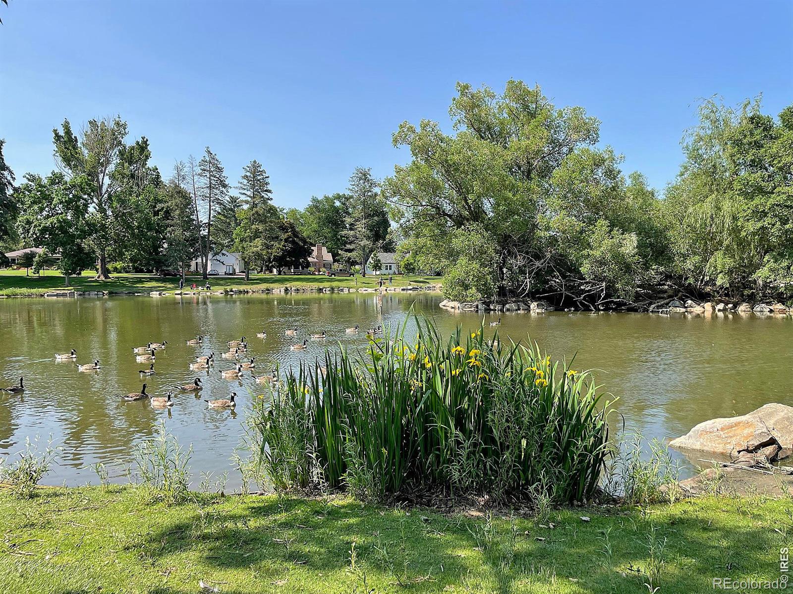 MLS Image #42 for 2082  19th avenue,greeley, Colorado