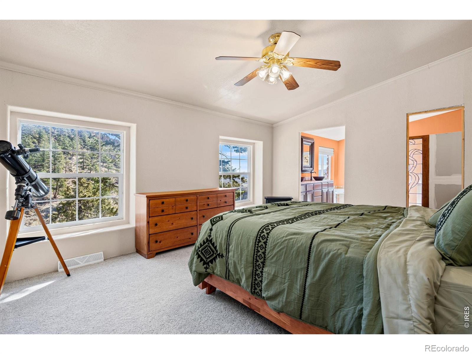 MLS Image #15 for 39  mount sherman court,livermore, Colorado