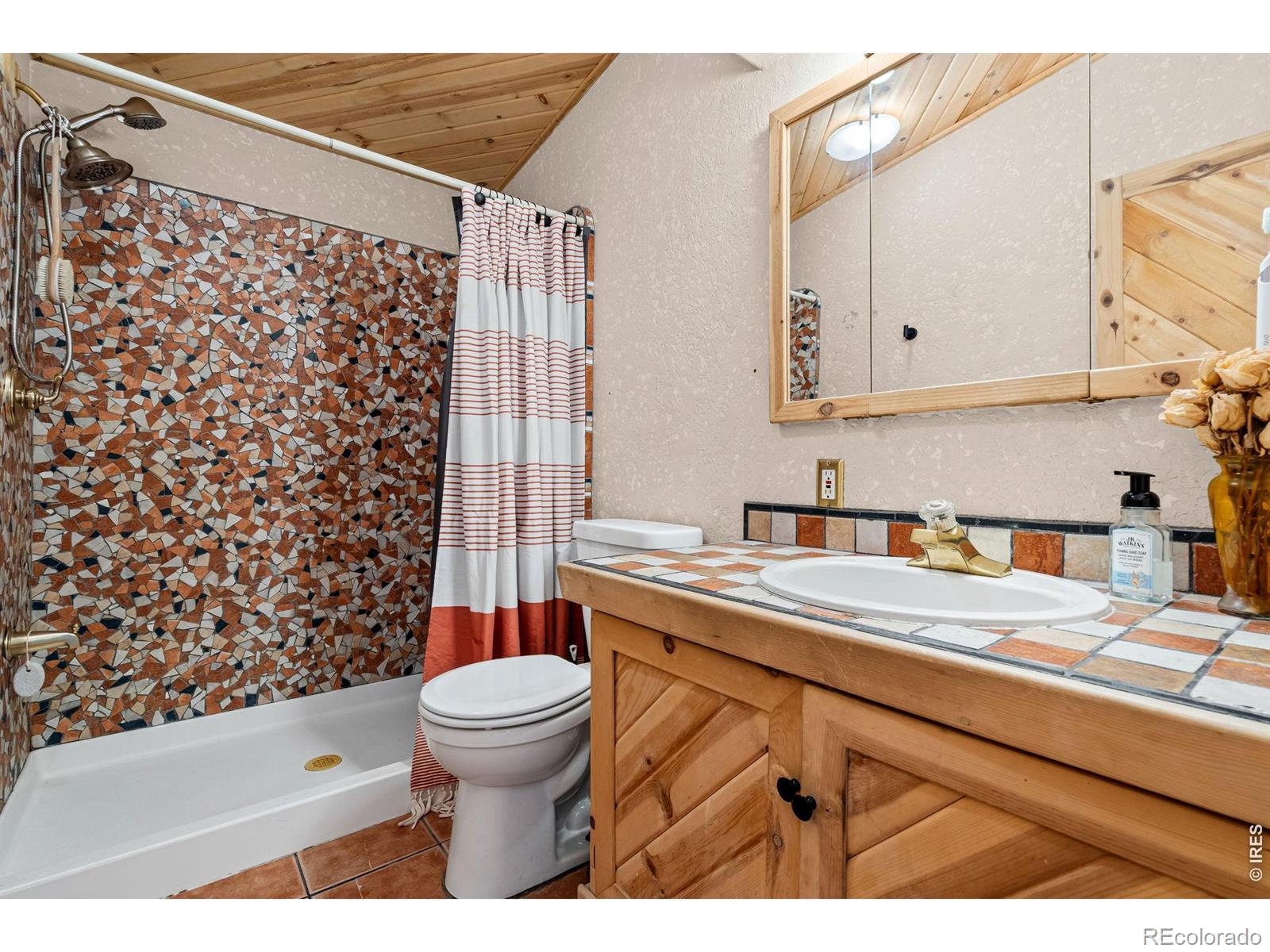 MLS Image #20 for 39  mount sherman court,livermore, Colorado