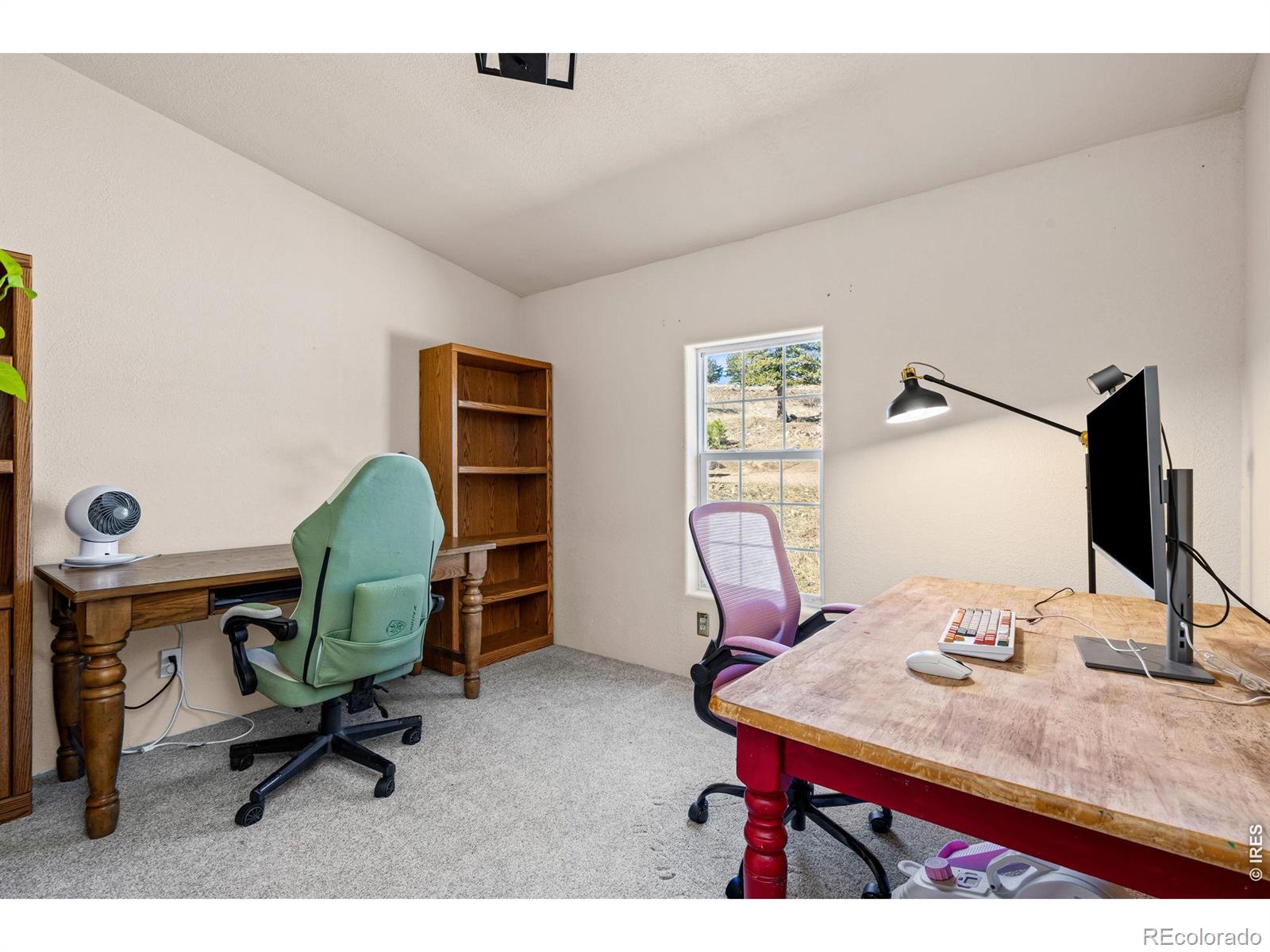 MLS Image #21 for 39  mount sherman court,livermore, Colorado