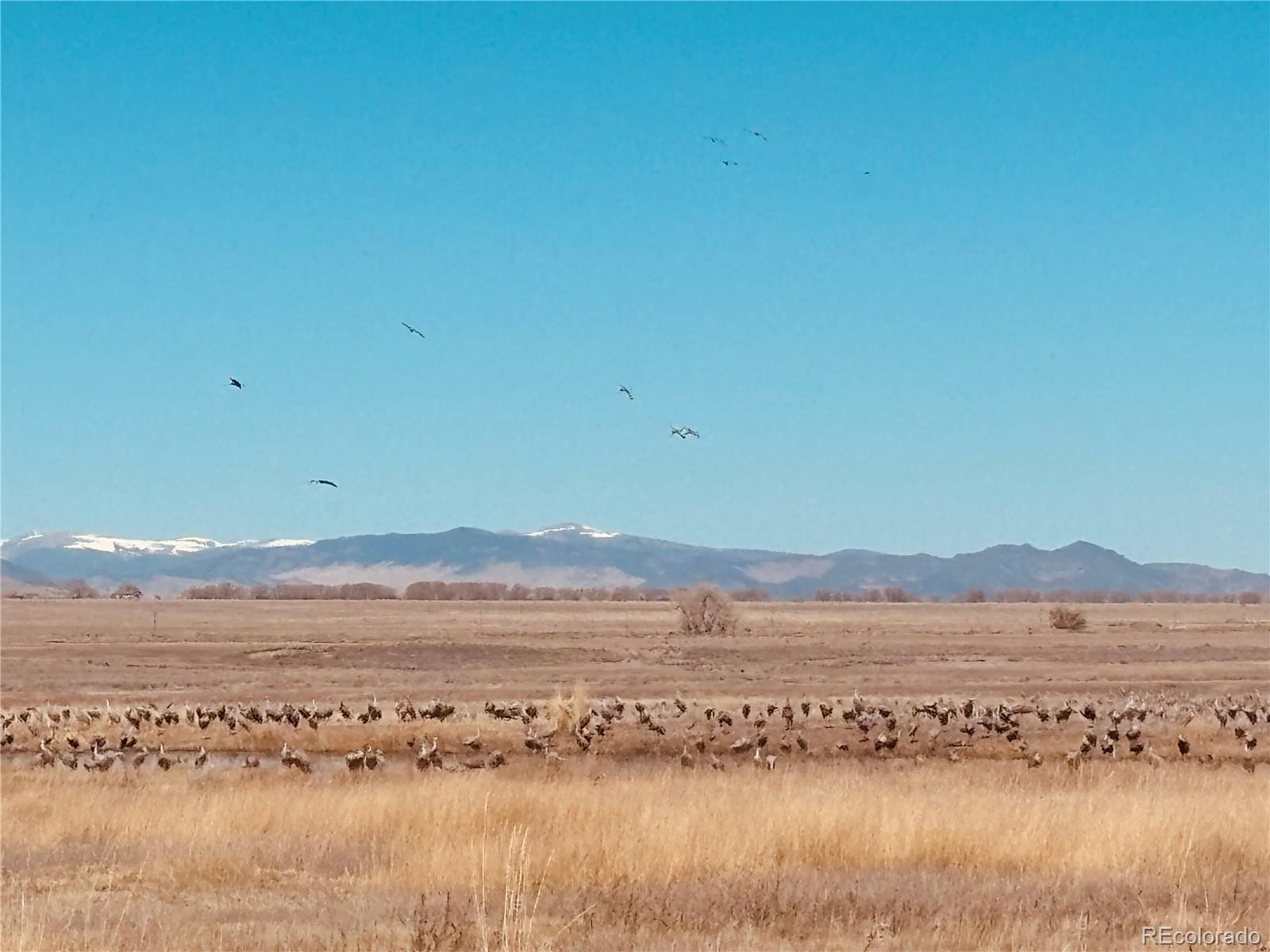 MLS Image #41 for 24501  county road 6 ,la jara, Colorado