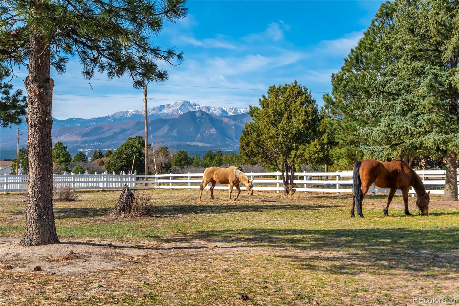 MLS Image #47 for 14475  granby road,colorado springs, Colorado