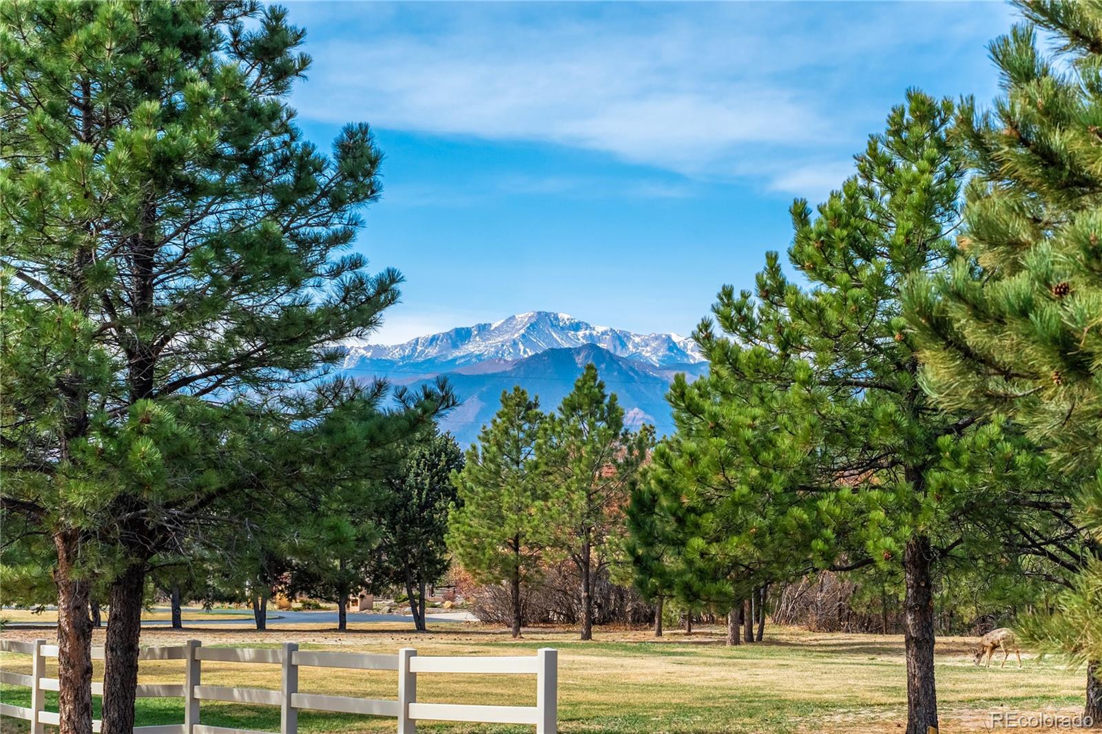 MLS Image #48 for 14475  granby road,colorado springs, Colorado