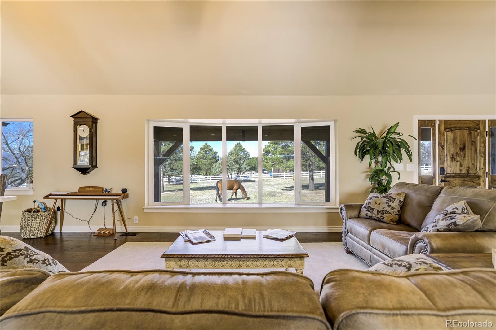 MLS Image #6 for 14475  granby road,colorado springs, Colorado