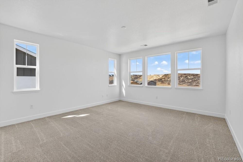 MLS Image #10 for 4063  descent street,castle rock, Colorado