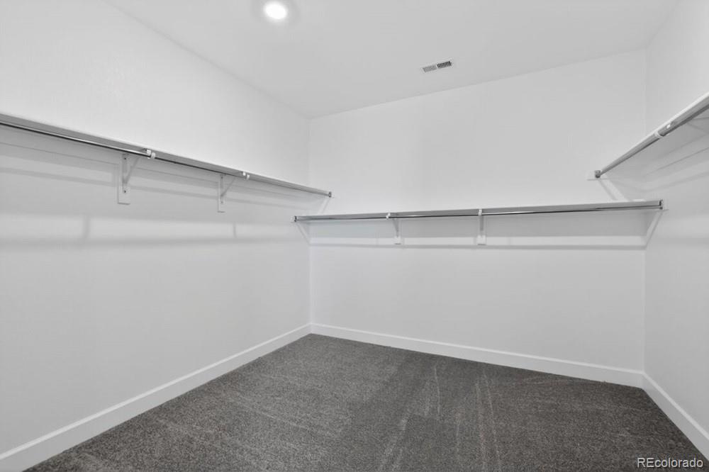 MLS Image #12 for 4063  descent street,castle rock, Colorado