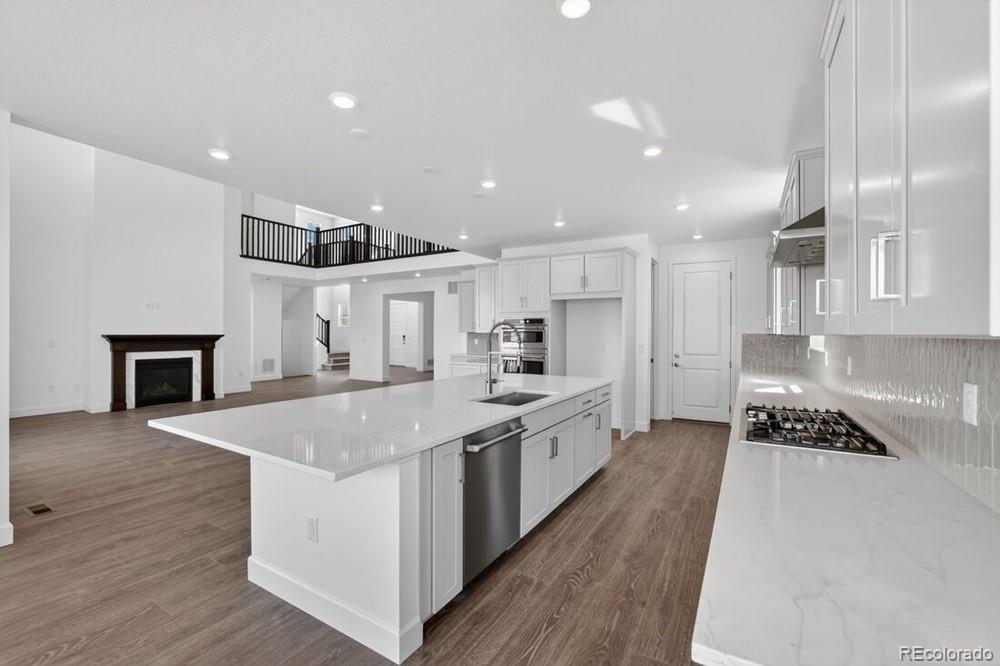 MLS Image #6 for 4063  descent street,castle rock, Colorado