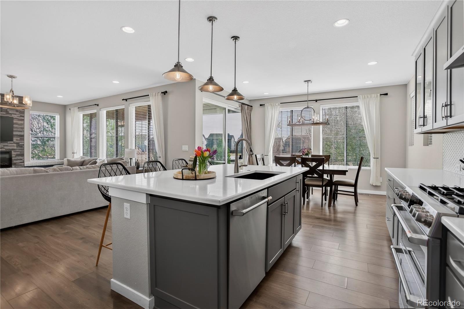 MLS Image #17 for 8956  moondance drive,littleton, Colorado