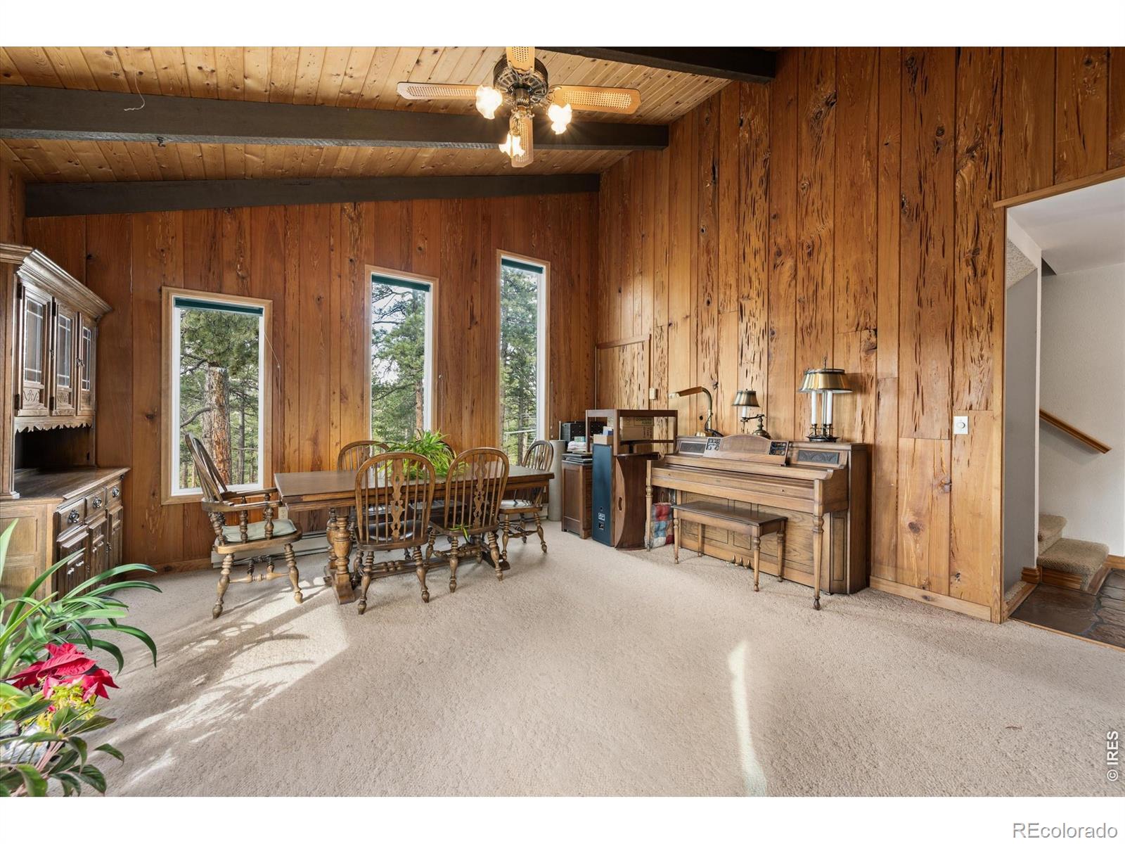 MLS Image #10 for 440  la hermosa drive,bellvue, Colorado