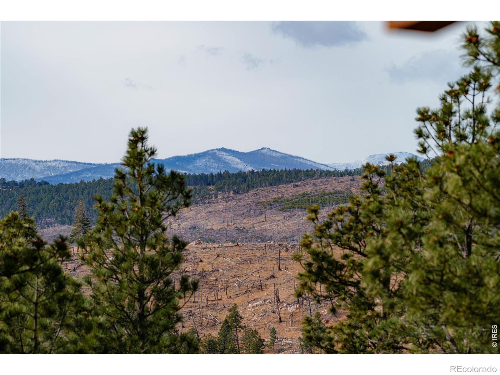 MLS Image #19 for 440  la hermosa drive,bellvue, Colorado
