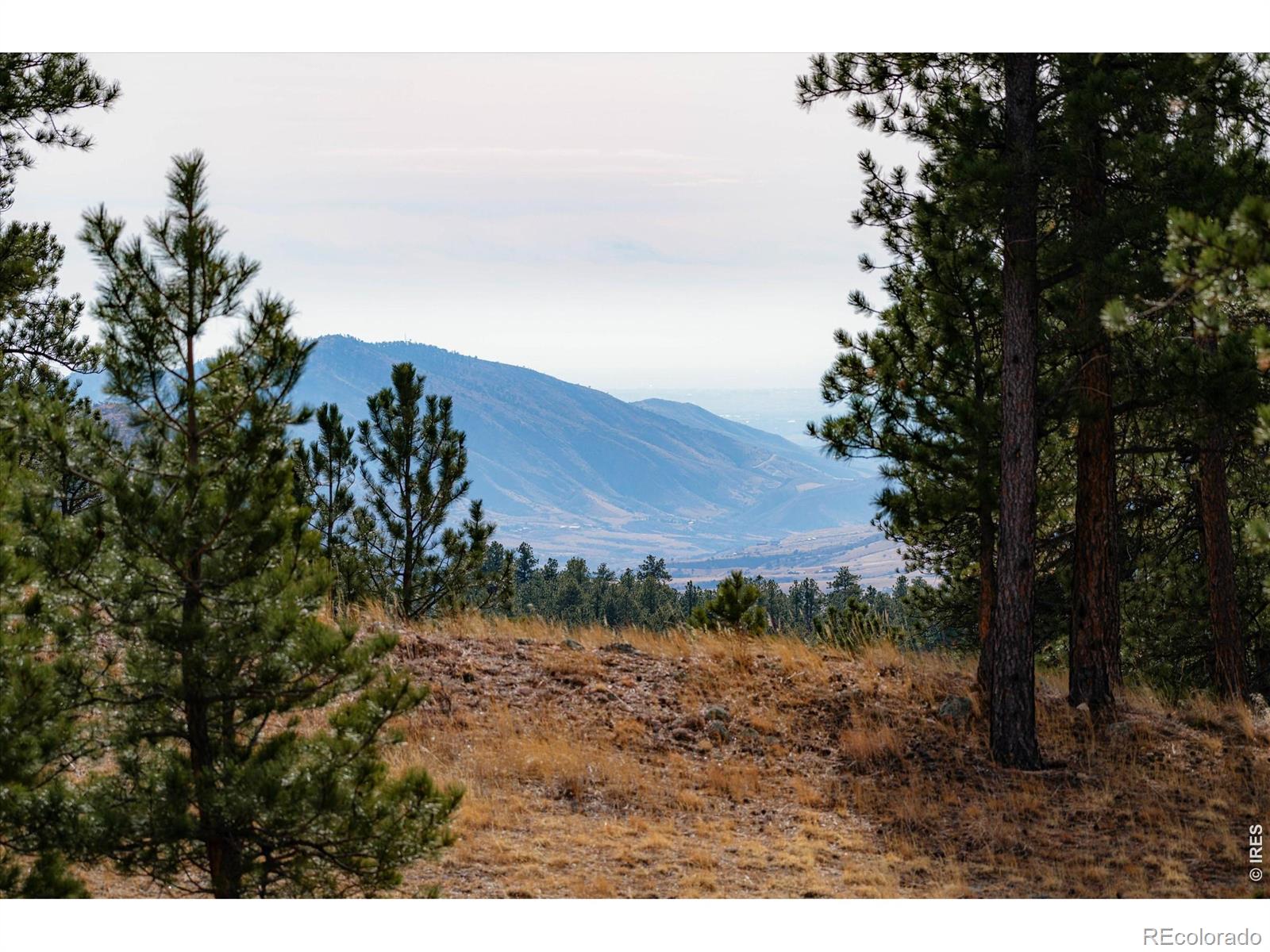 MLS Image #40 for 440  la hermosa drive,bellvue, Colorado
