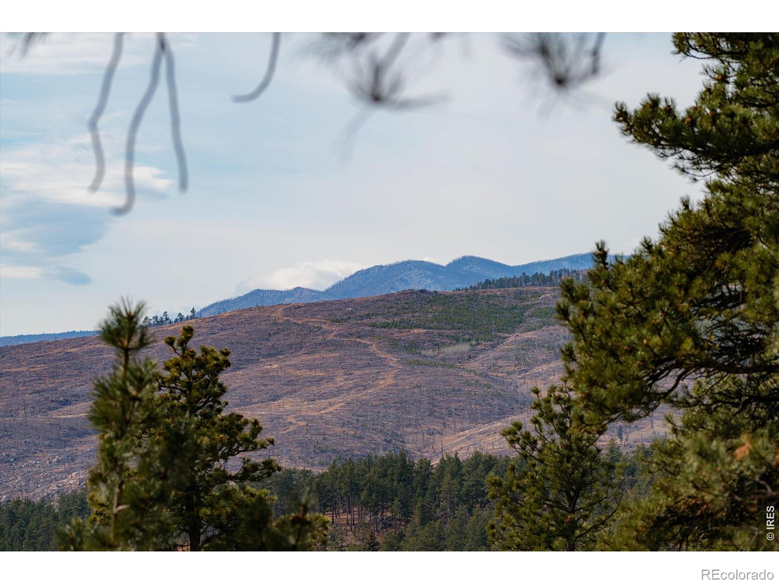 MLS Image #44 for 440  la hermosa drive,bellvue, Colorado