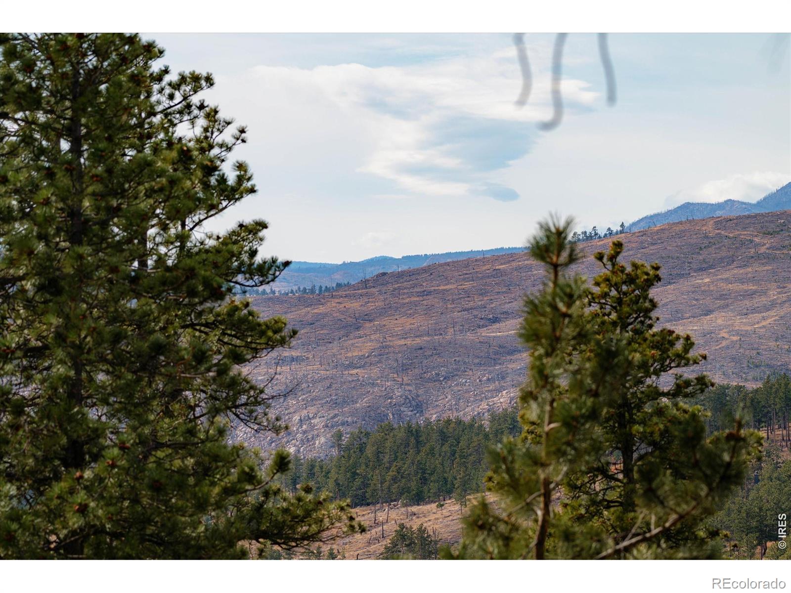 MLS Image #47 for 440  la hermosa drive,bellvue, Colorado