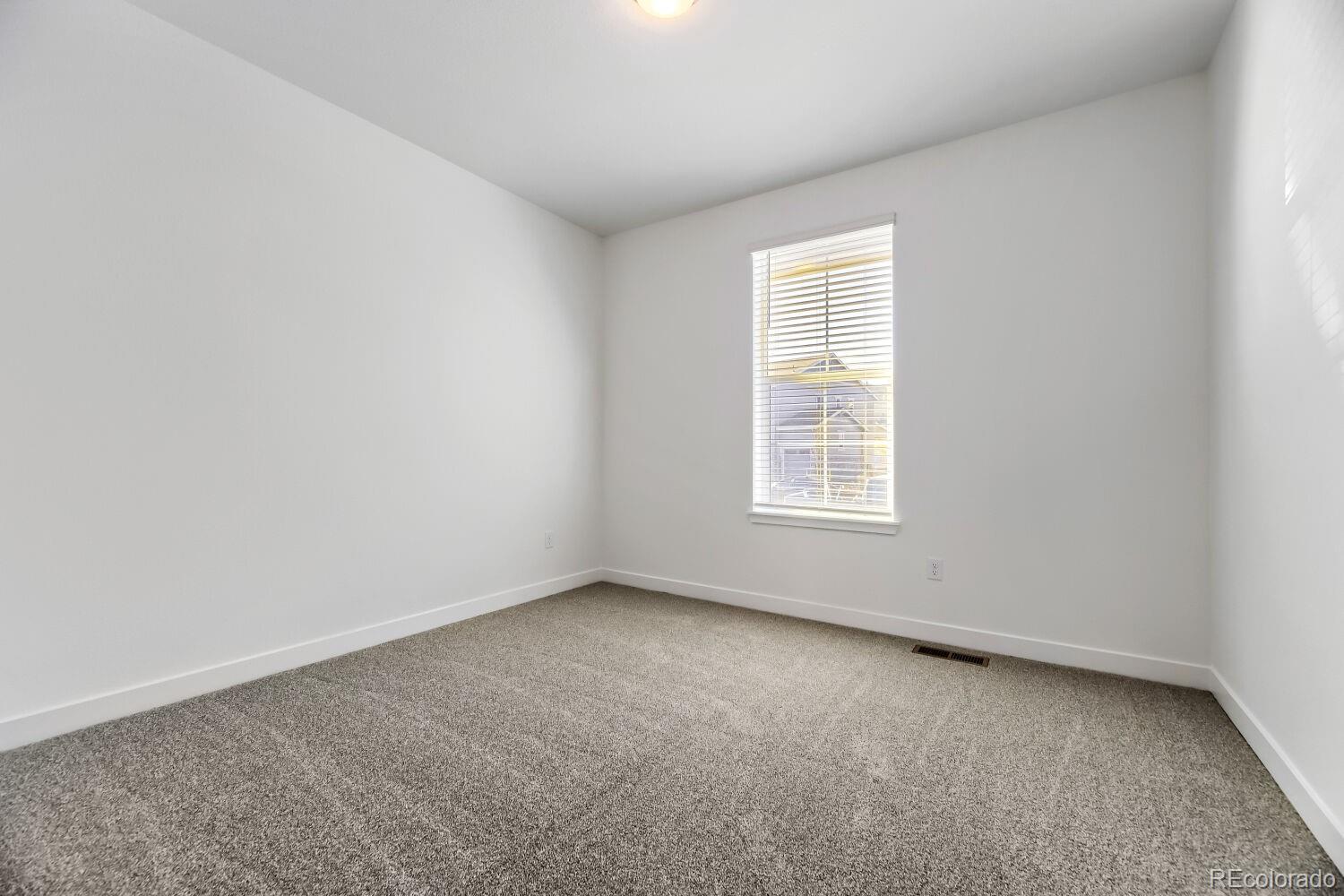 MLS Image #10 for 3953  buttongrass trail,castle rock, Colorado