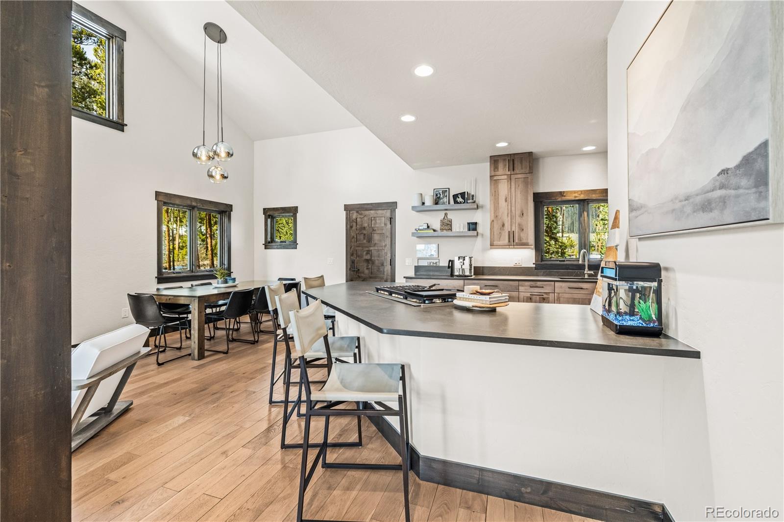 MLS Image #15 for 147  lupine ,frisco, Colorado