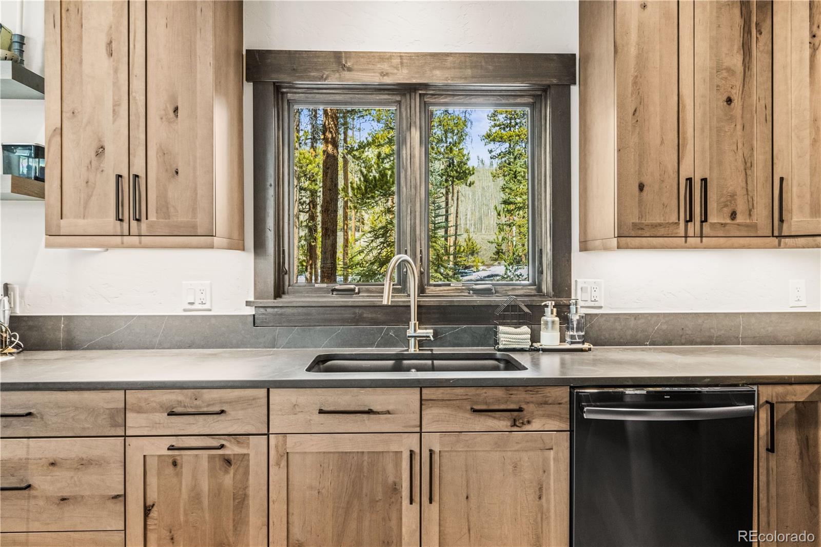 MLS Image #20 for 147  lupine ,frisco, Colorado