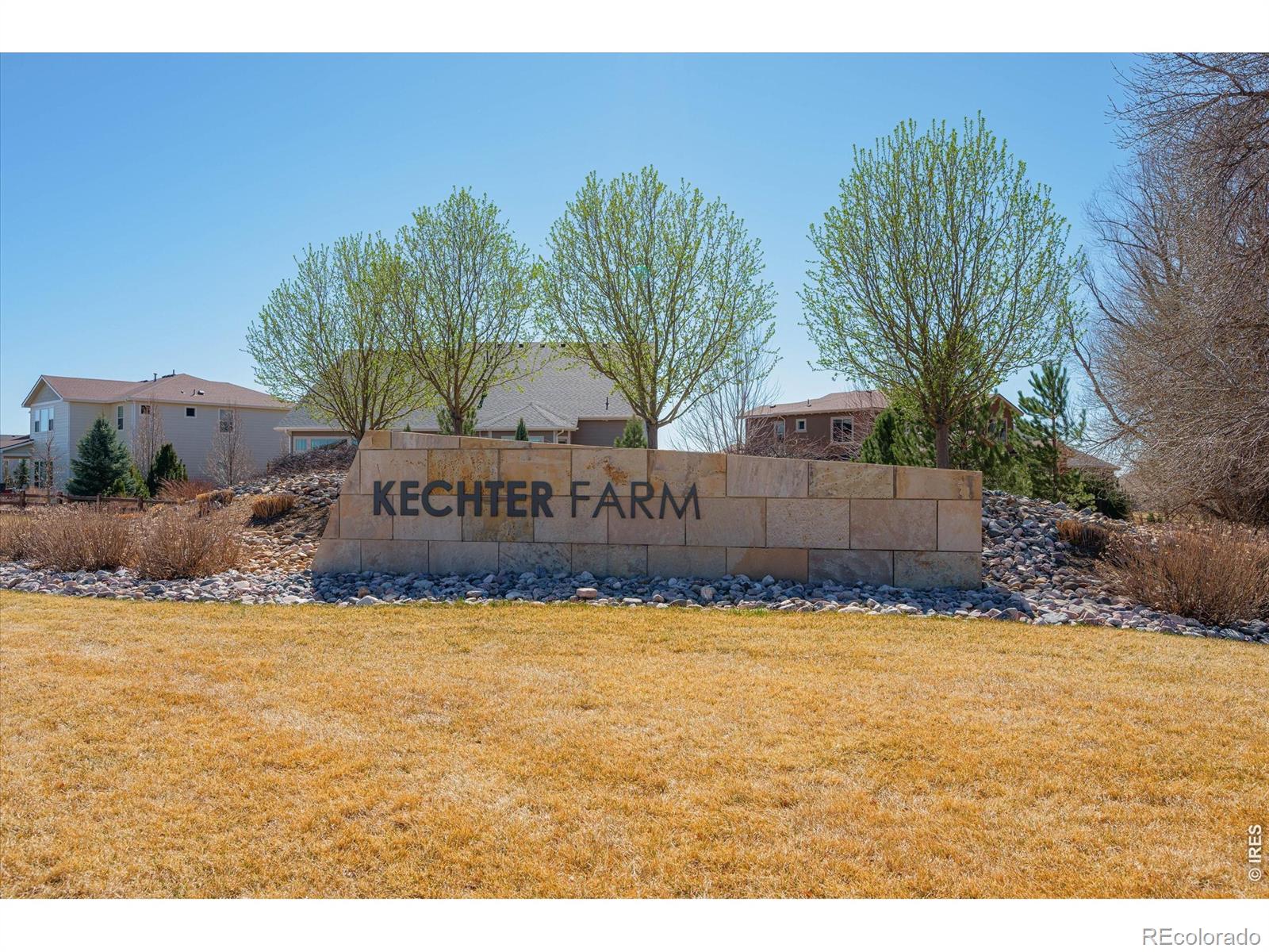MLS Image #43 for 5932  sapling street,fort collins, Colorado