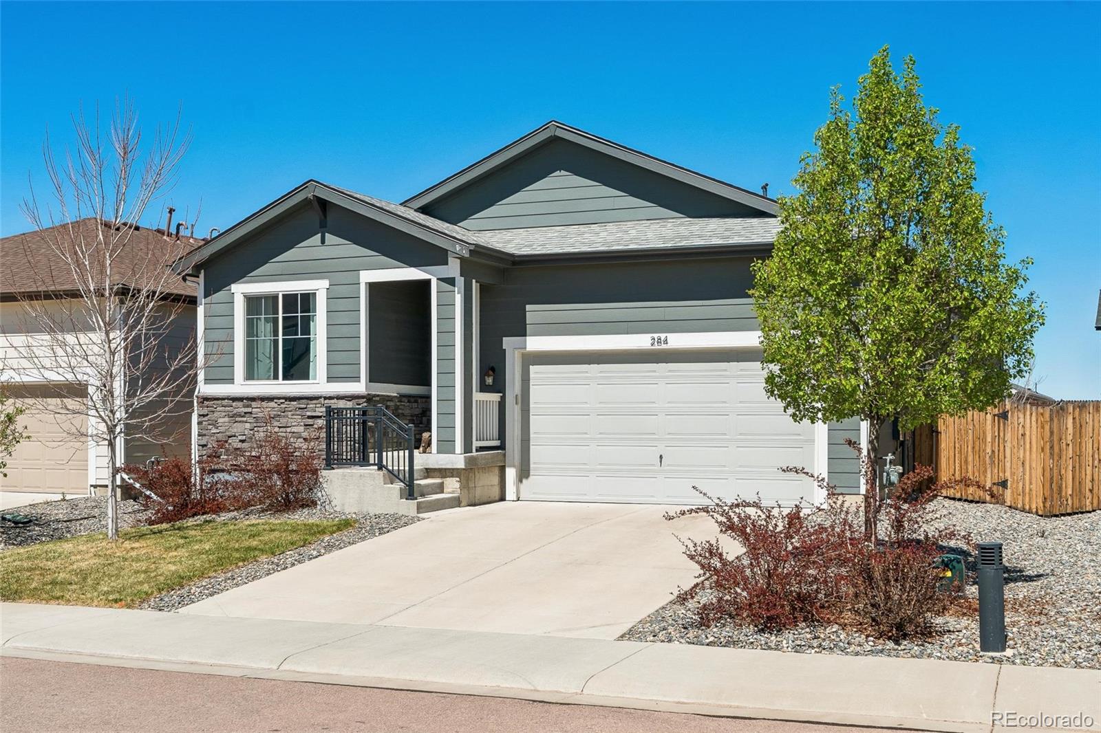 MLS Image #1 for 284  vista cliff circle,castle rock, Colorado