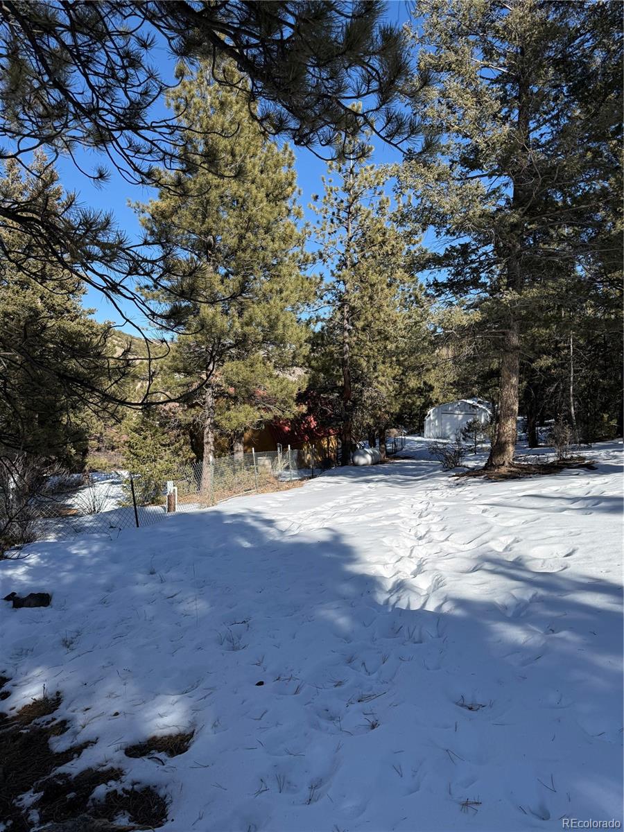 MLS Image #4 for 29885  county road 46aa ,villa grove, Colorado
