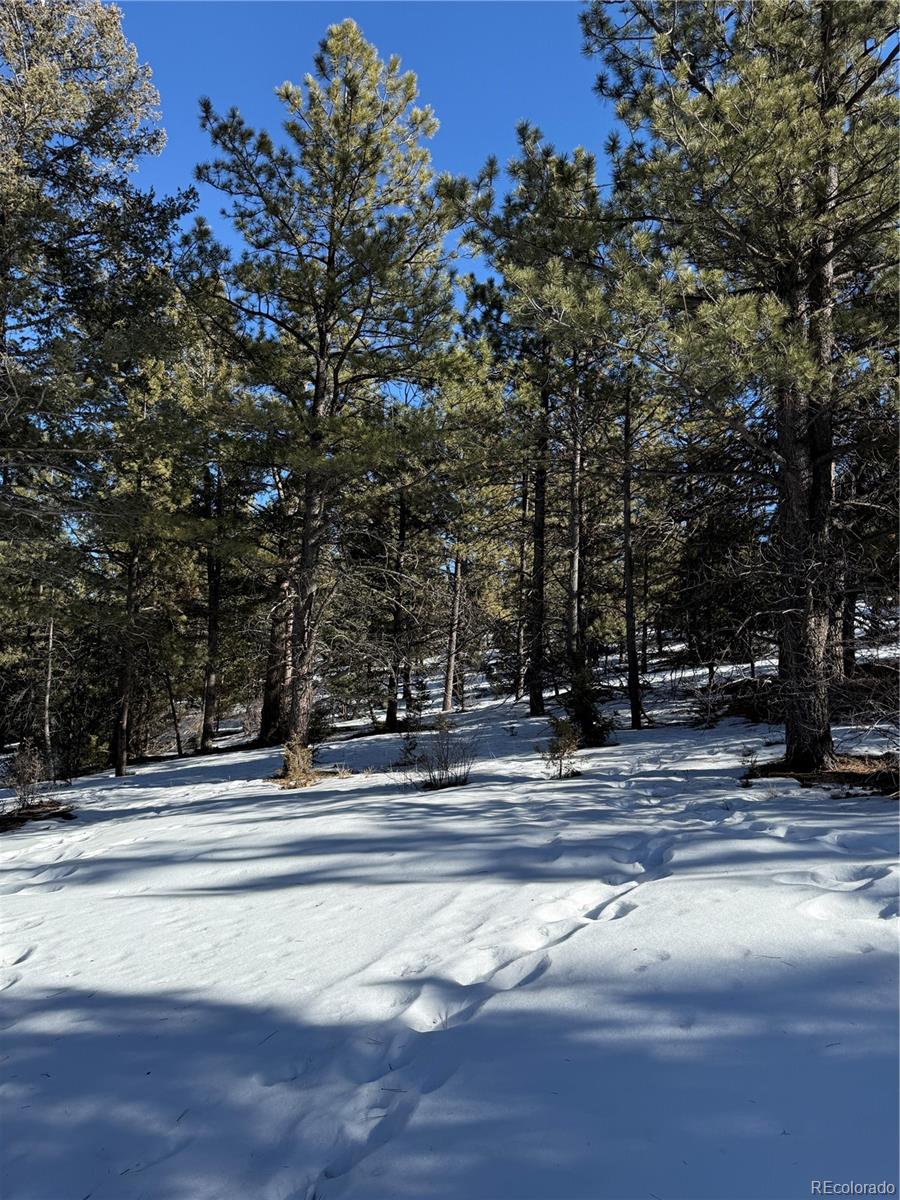 MLS Image #5 for 29885  county road 46aa ,villa grove, Colorado
