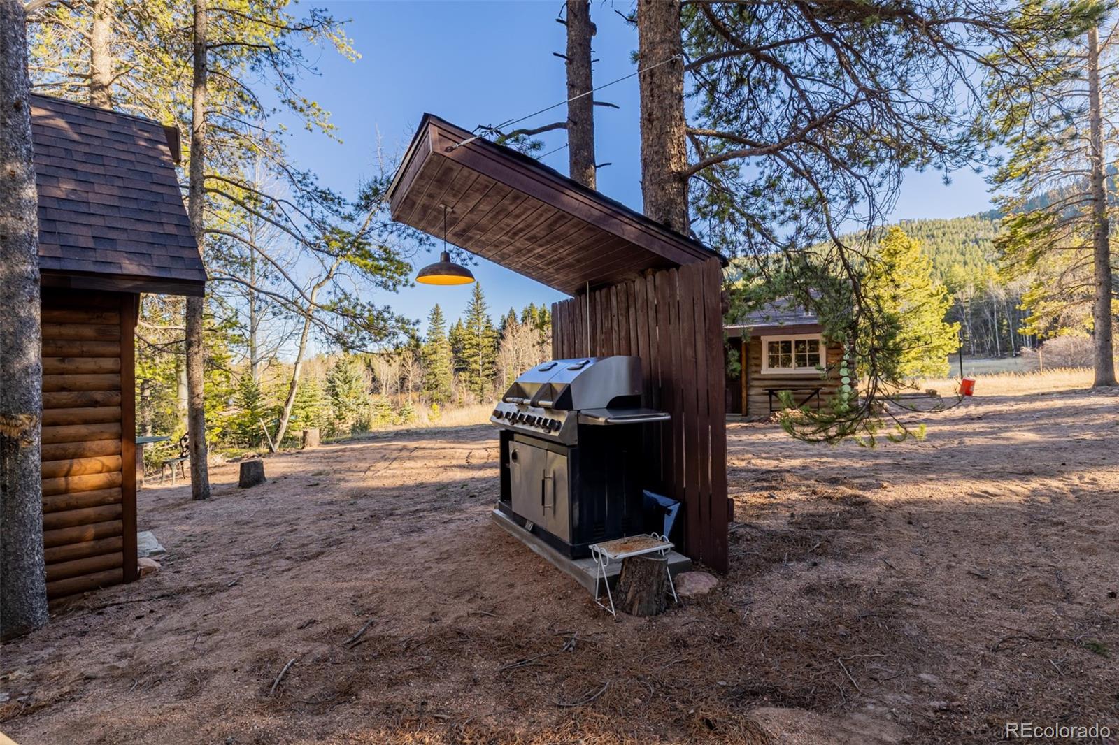 MLS Image #37 for 9719  beaver pond ,conifer, Colorado