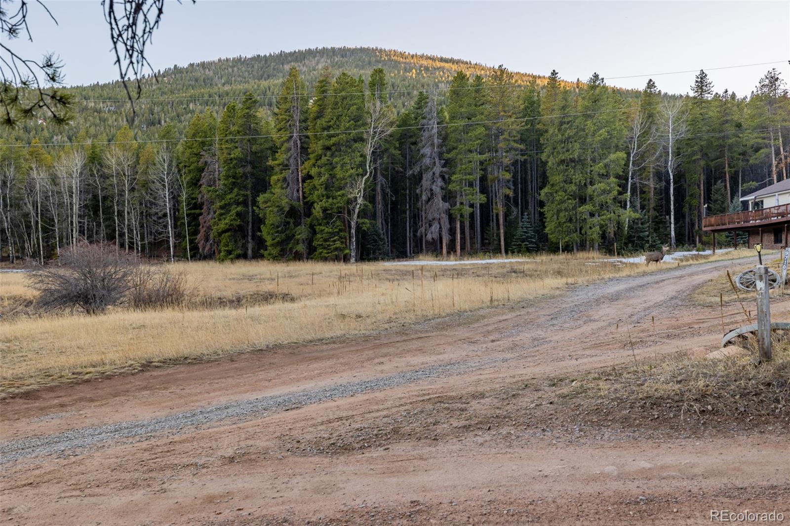 MLS Image #38 for 9719  beaver pond ,conifer, Colorado