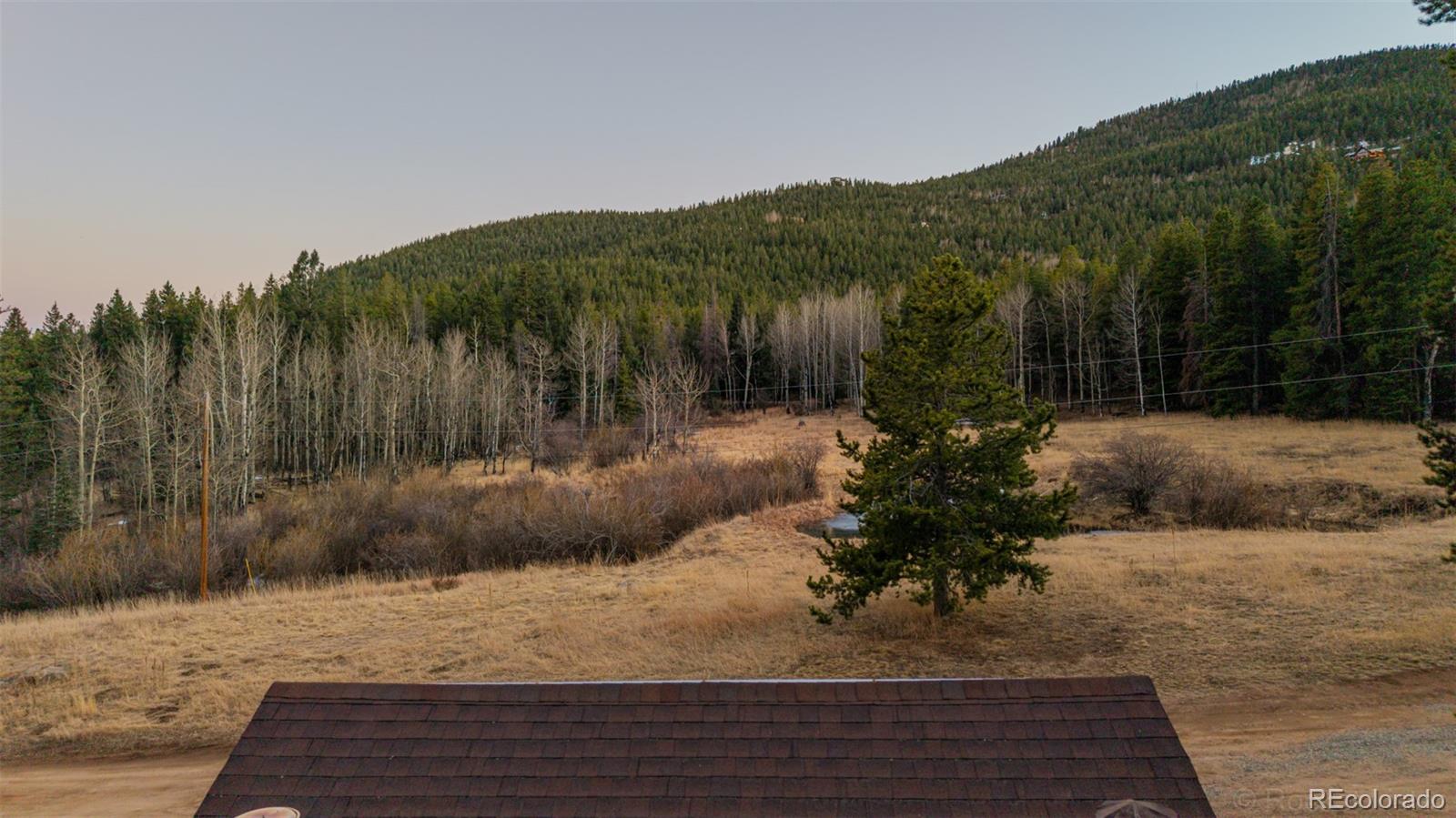 MLS Image #46 for 9719  beaver pond ,conifer, Colorado