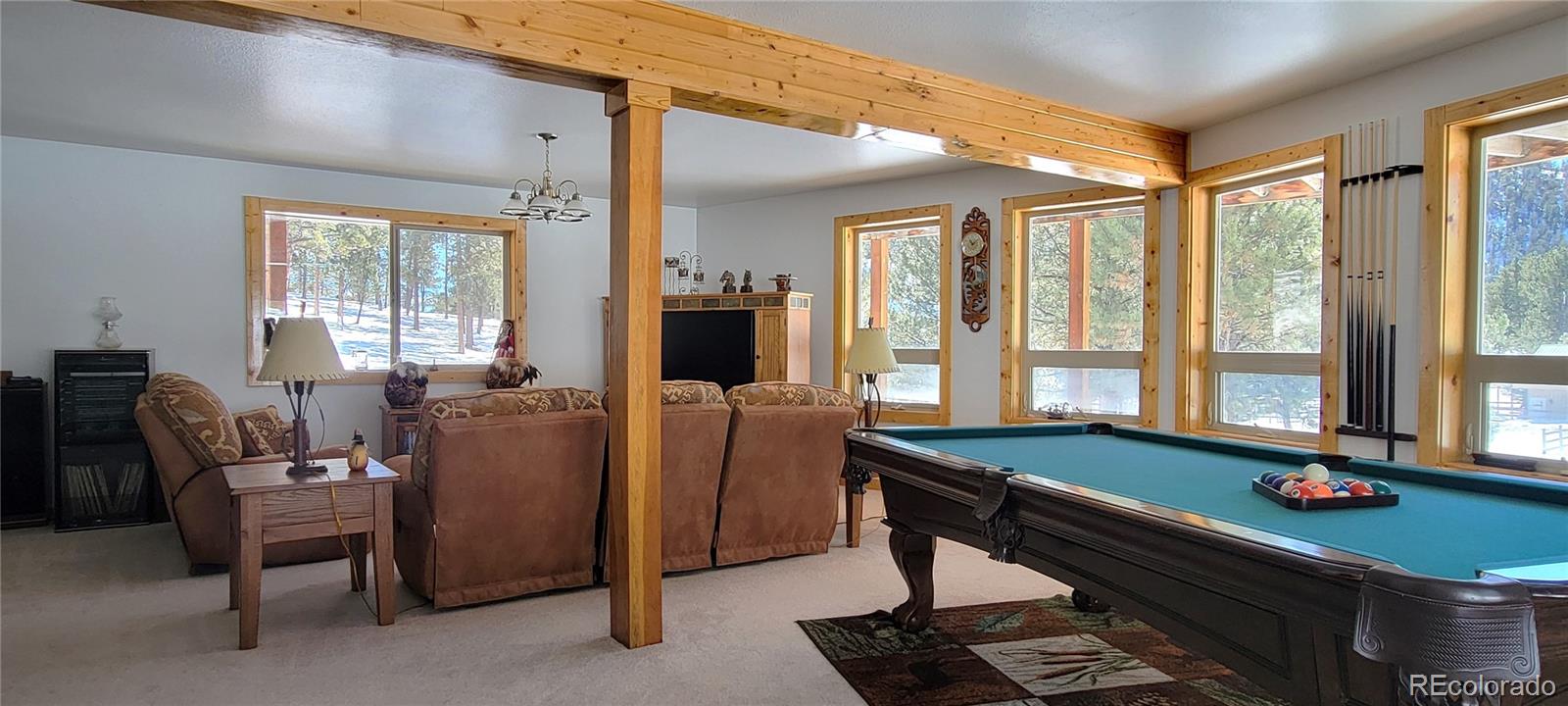 MLS Image #10 for 1321  bristlecone road,guffey, Colorado