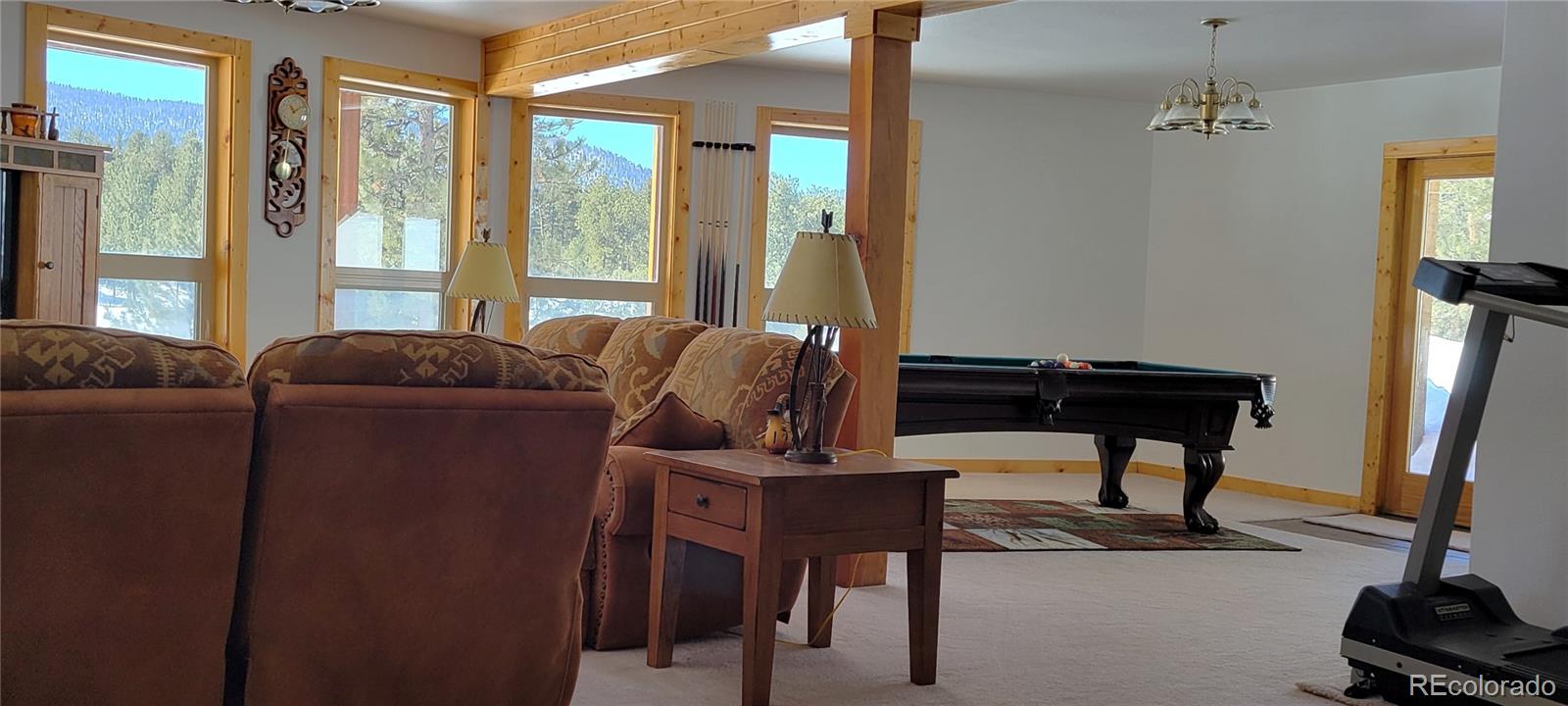 MLS Image #11 for 1321  bristlecone road,guffey, Colorado